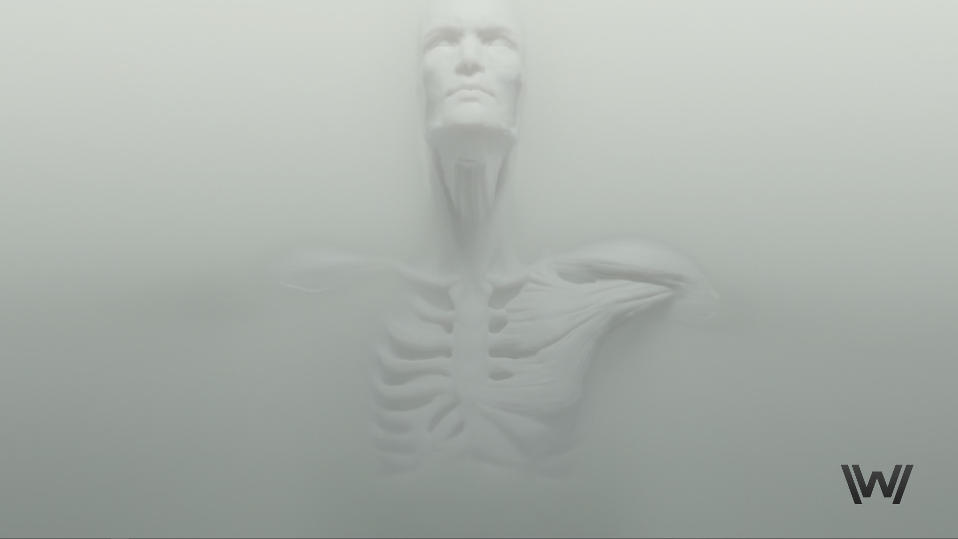 Westworld, Androide, Liquido bianco, Sigla, Full HD 1080p, sfondo desktop