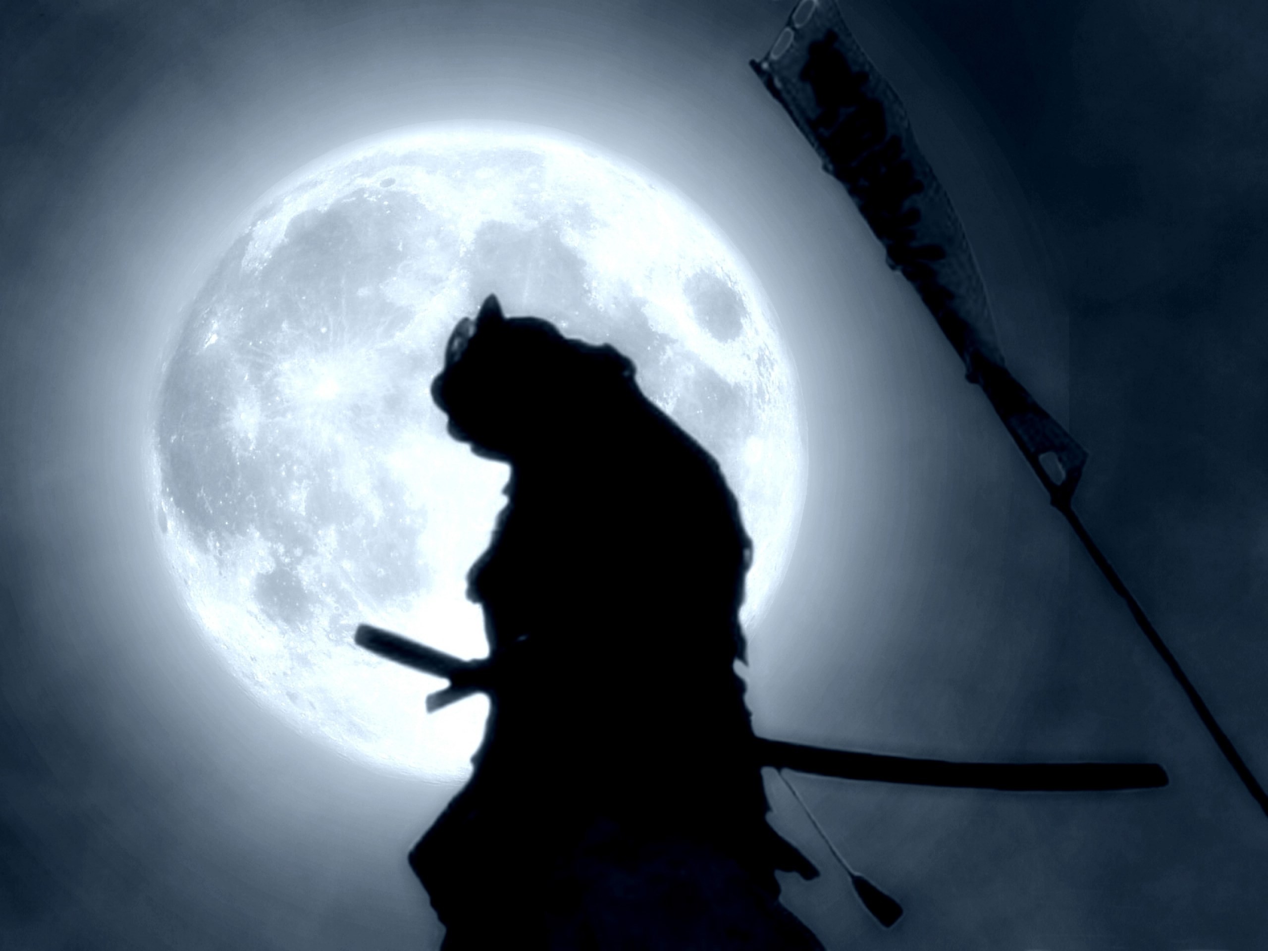 Samurai, Luna piena, Silhouette, Katana, 2K, sfondo per iPad e tablet