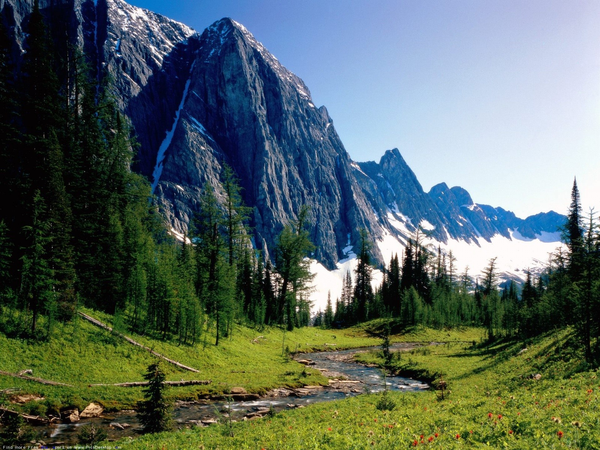 Montagne, Ruscello, Foresta, Valle, Prato, Full HD, sfondo per iPad e tablet