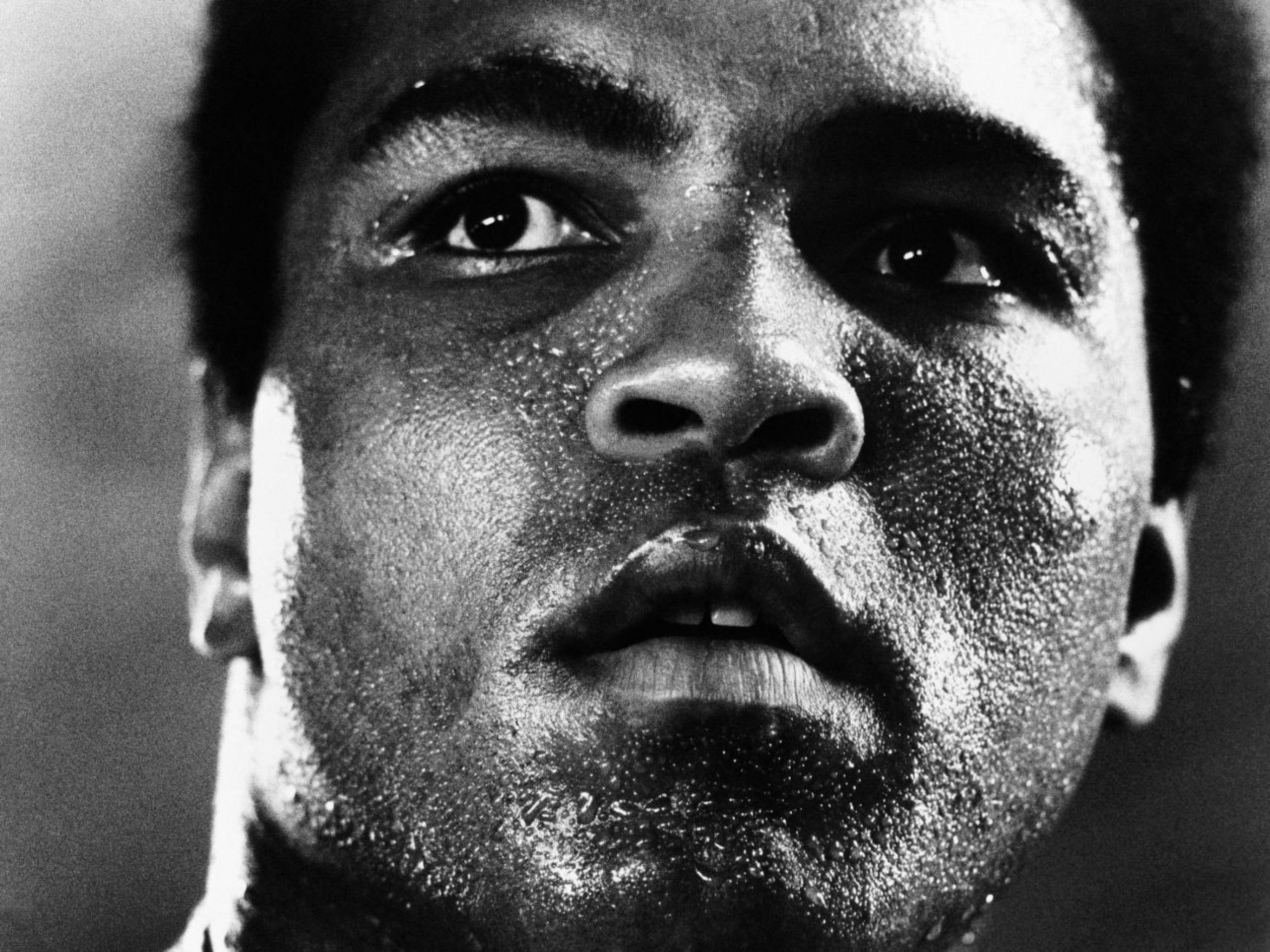 Muhammad Ali, Primo piano, Bianco e nero, Sudore, sfondo per iPad e tablet
