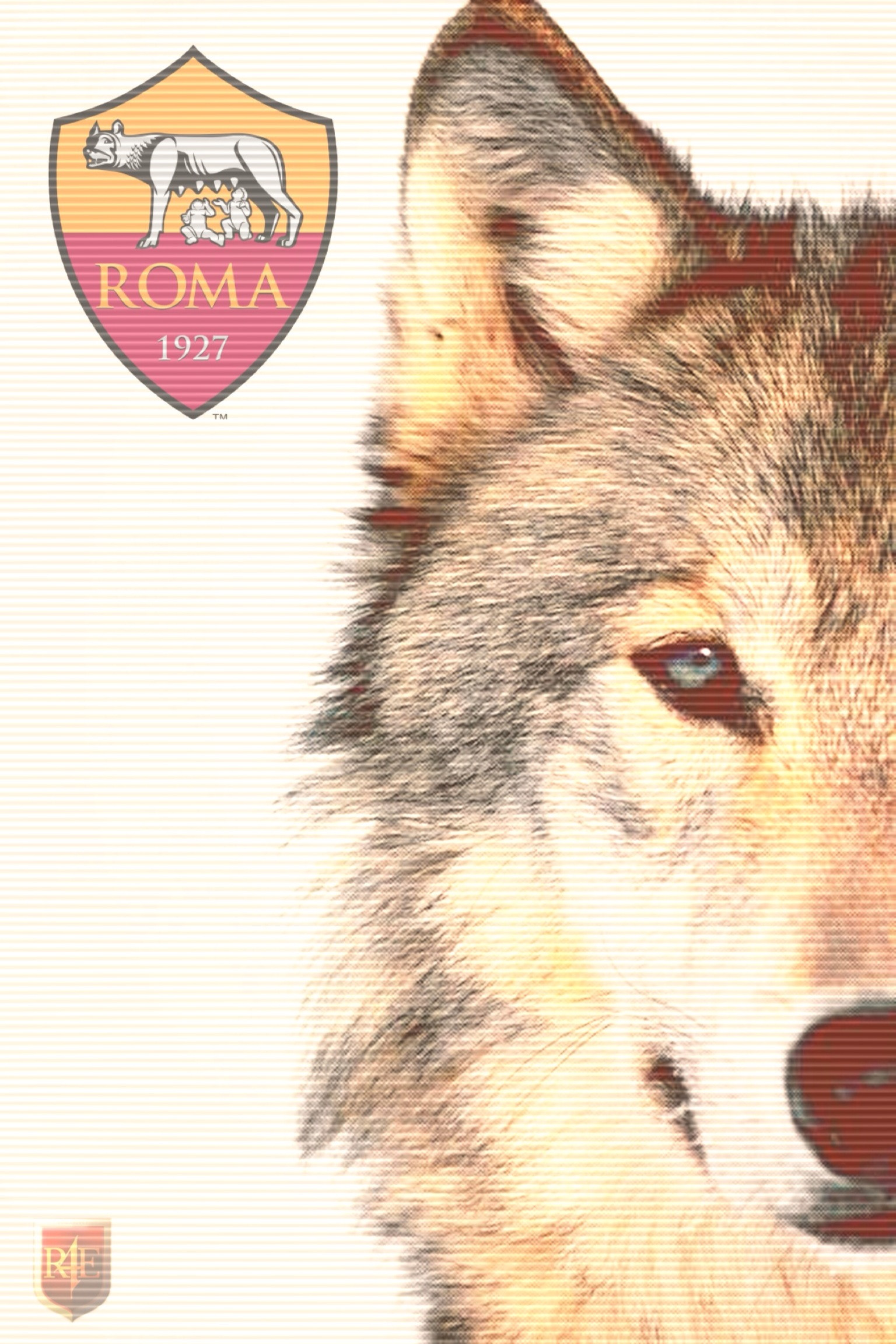 AS Roma, Stemma, Lupo, Calcio, QHD+, wallpaper per smartphone