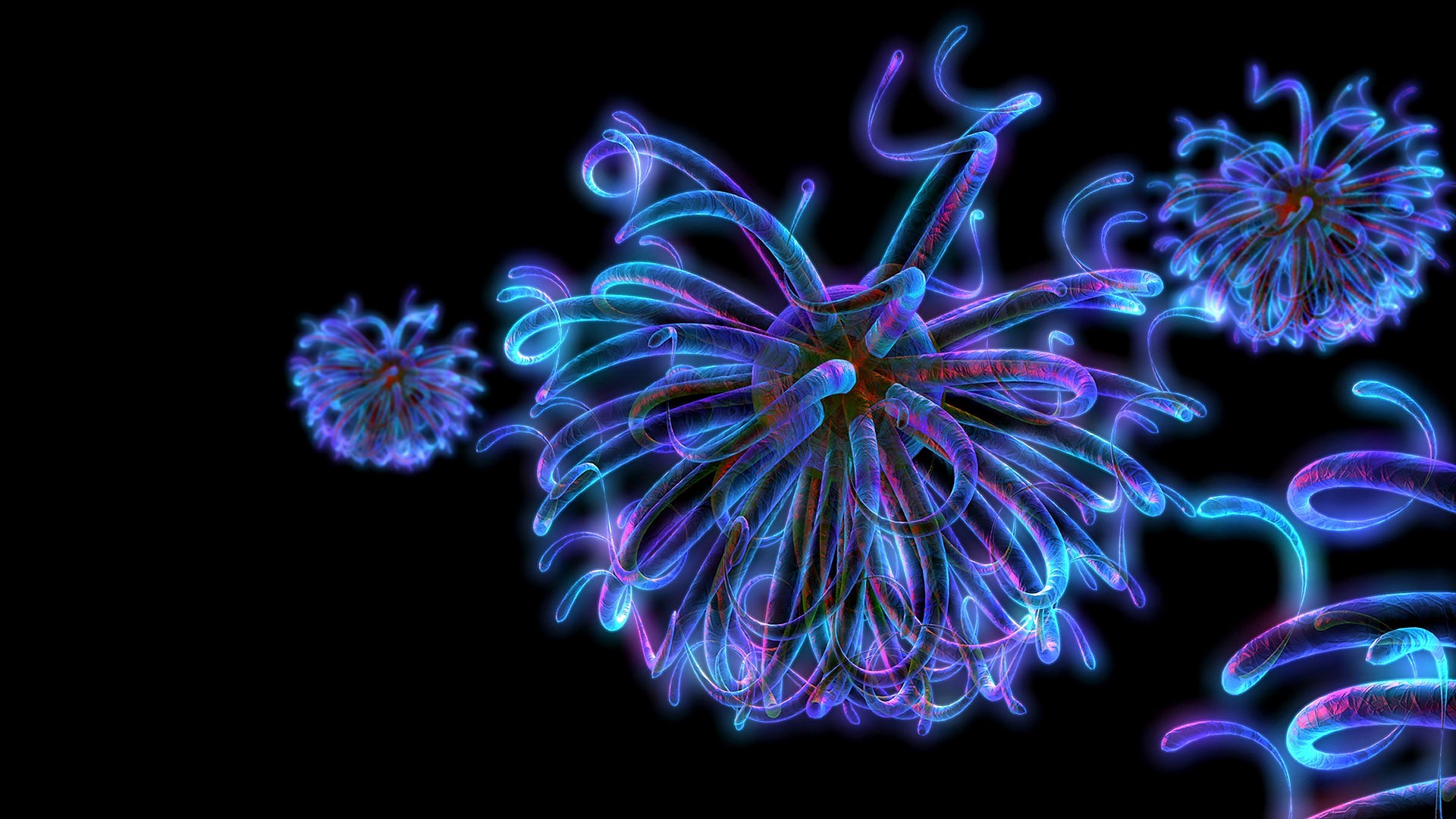 Fiori neon, Frattale, Sfondo nero, Blu, Full HD, wallpaper per portatile