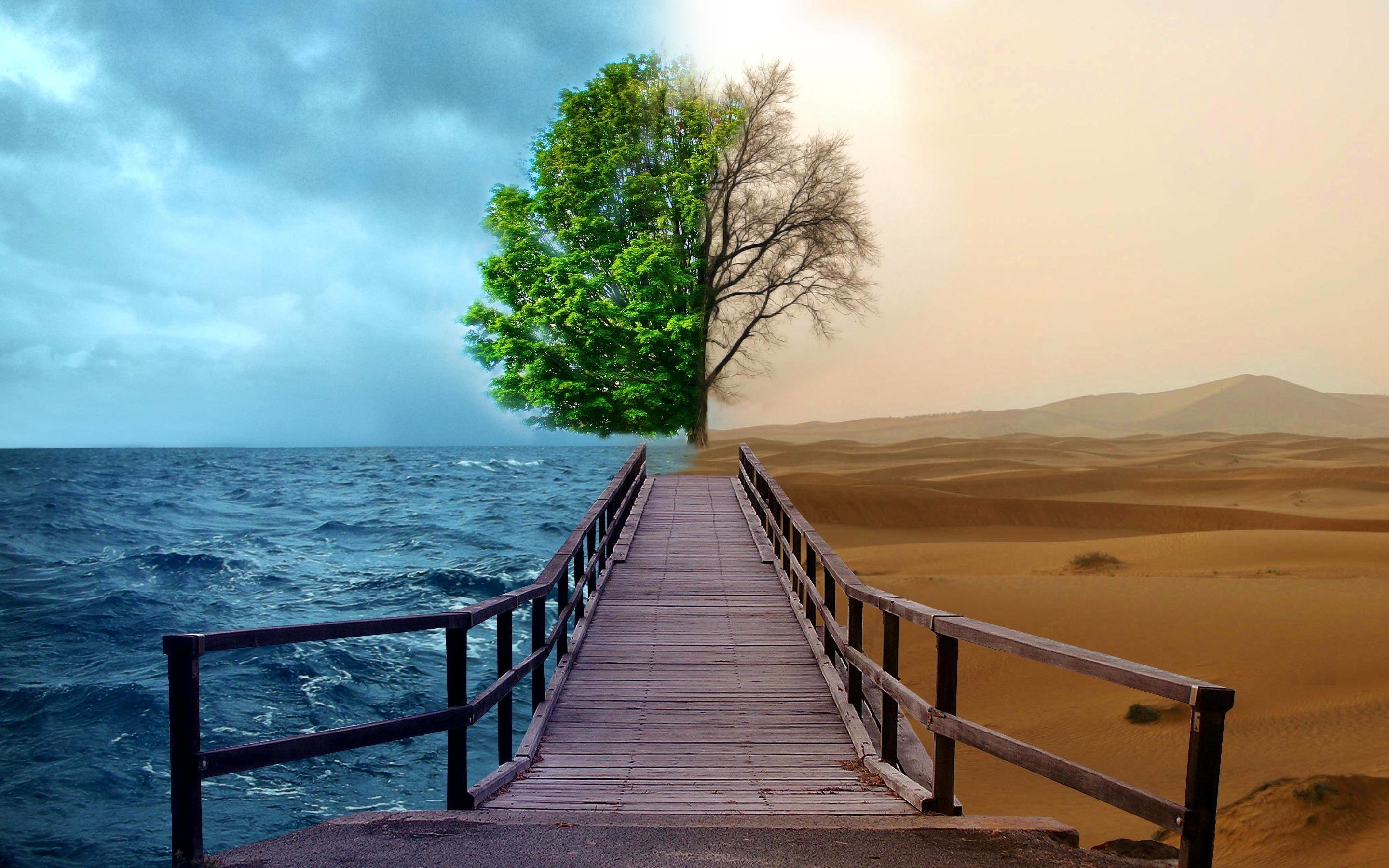 Pontile, Albero, Mare e deserto, Contrasto, Surreale, 2K, sfondo desktop