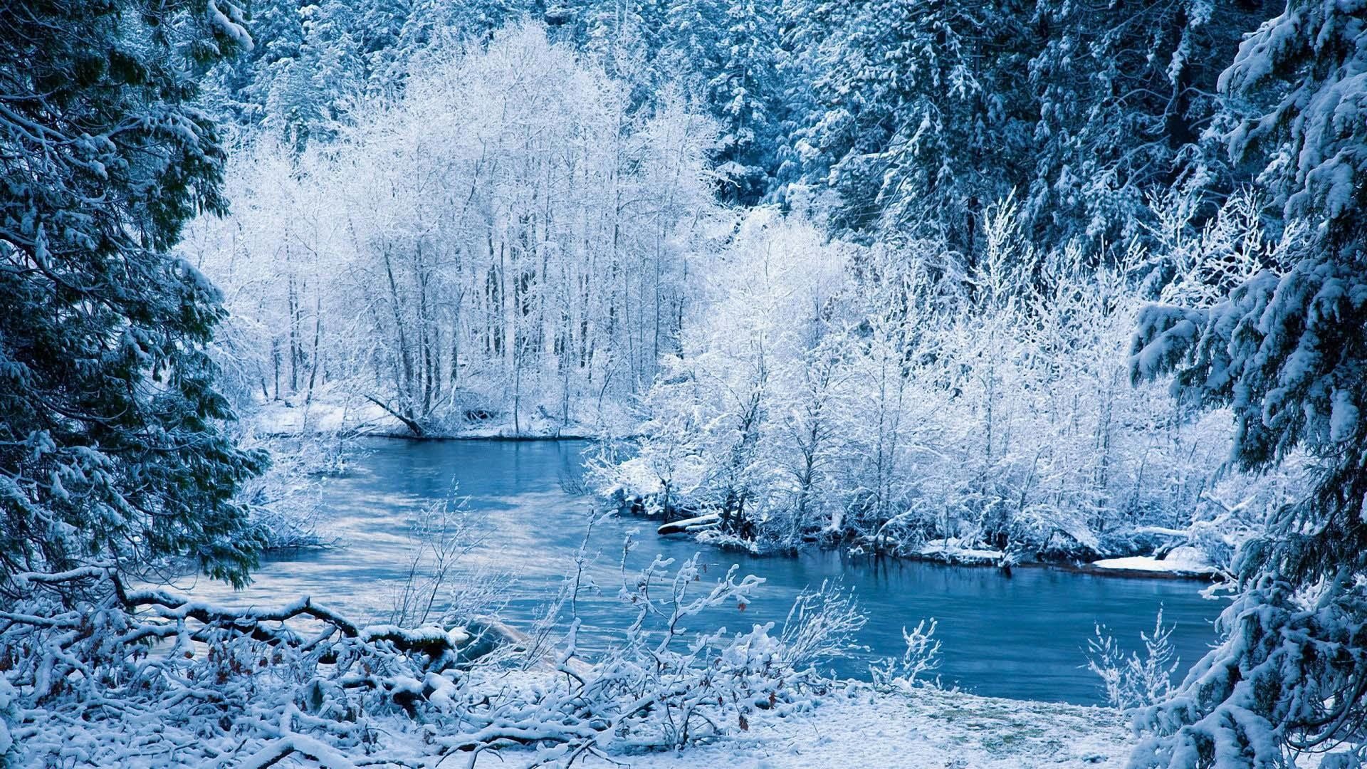 Fiume, Alberi ghiacciati, Brina, Bosco, Full HD, wallpaper per computer