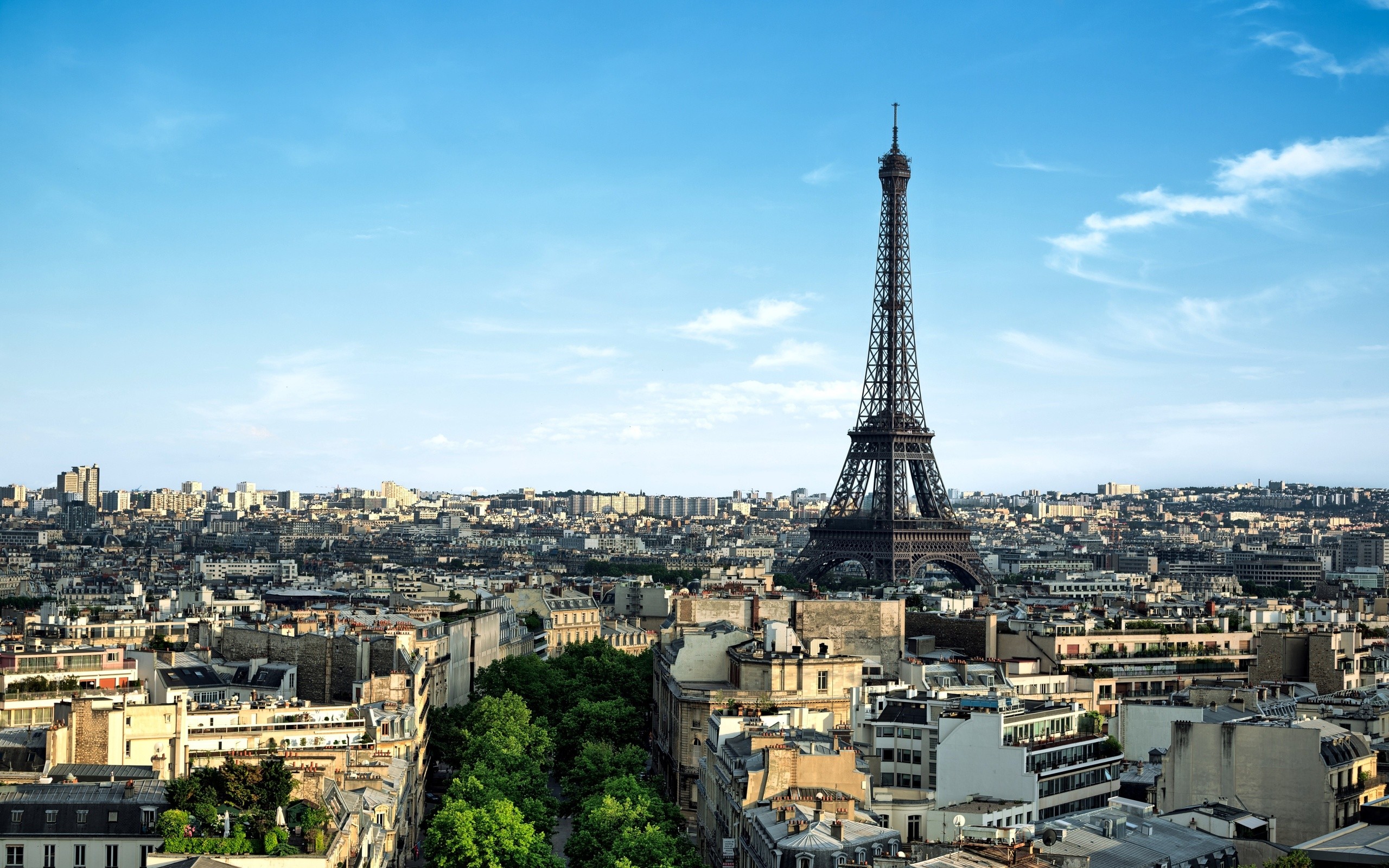 Torre Eiffel, Parigi, Tetti, Cielo azzurro, 2K, wallpaper per portatile