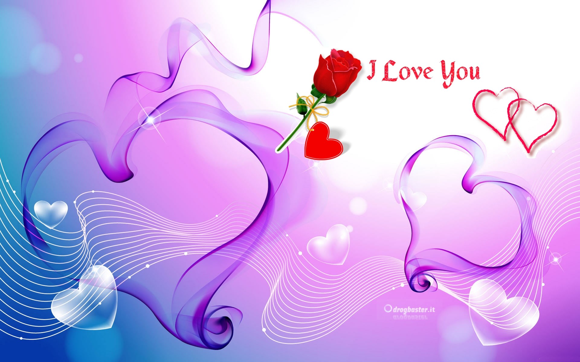 I Love You, Rosa rossa, Cuori, Viola, Full HD, sfondo desktop