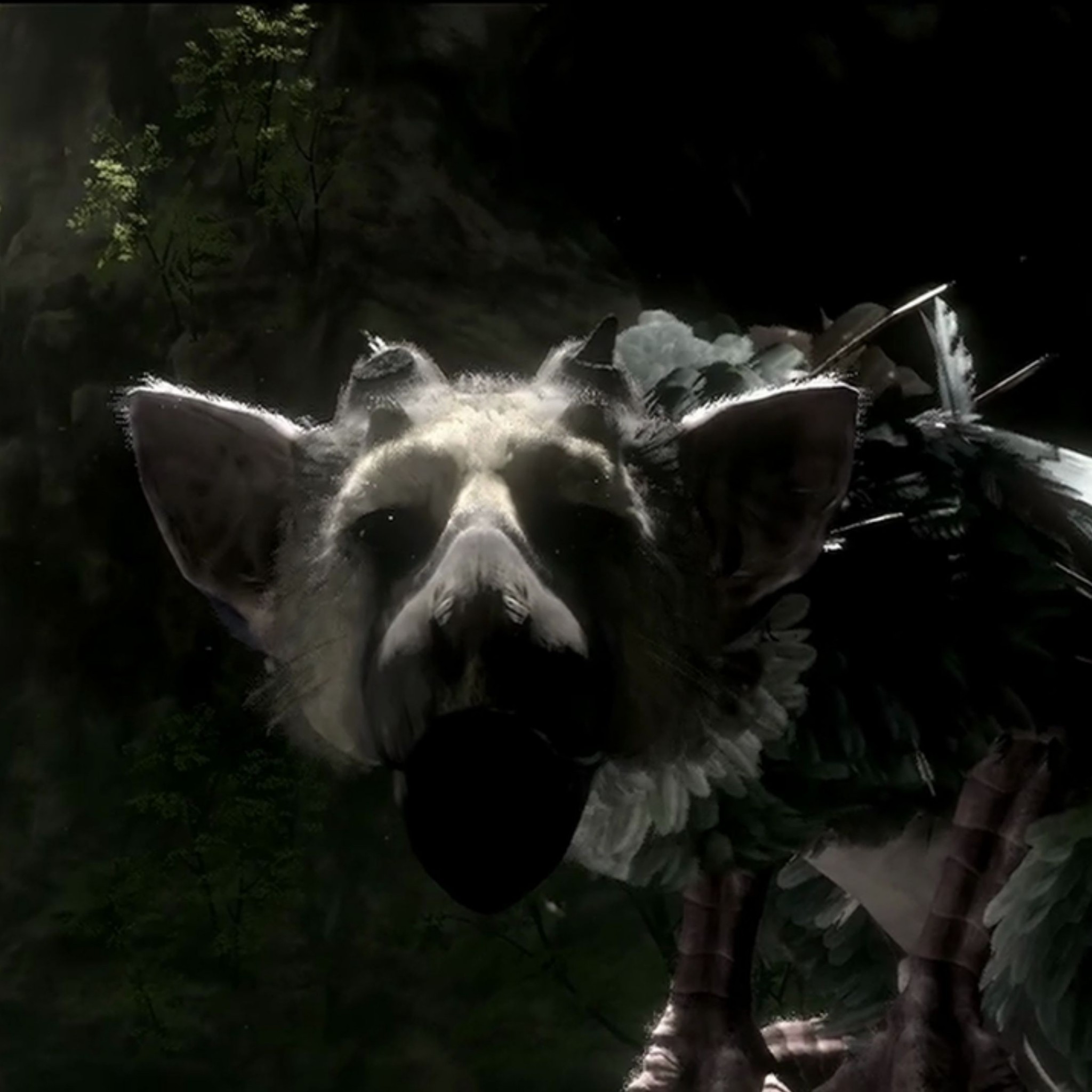Trico, The Last Guardian, Primo piano, Sfondo scuro, Full HD, schermata di blocco iPad