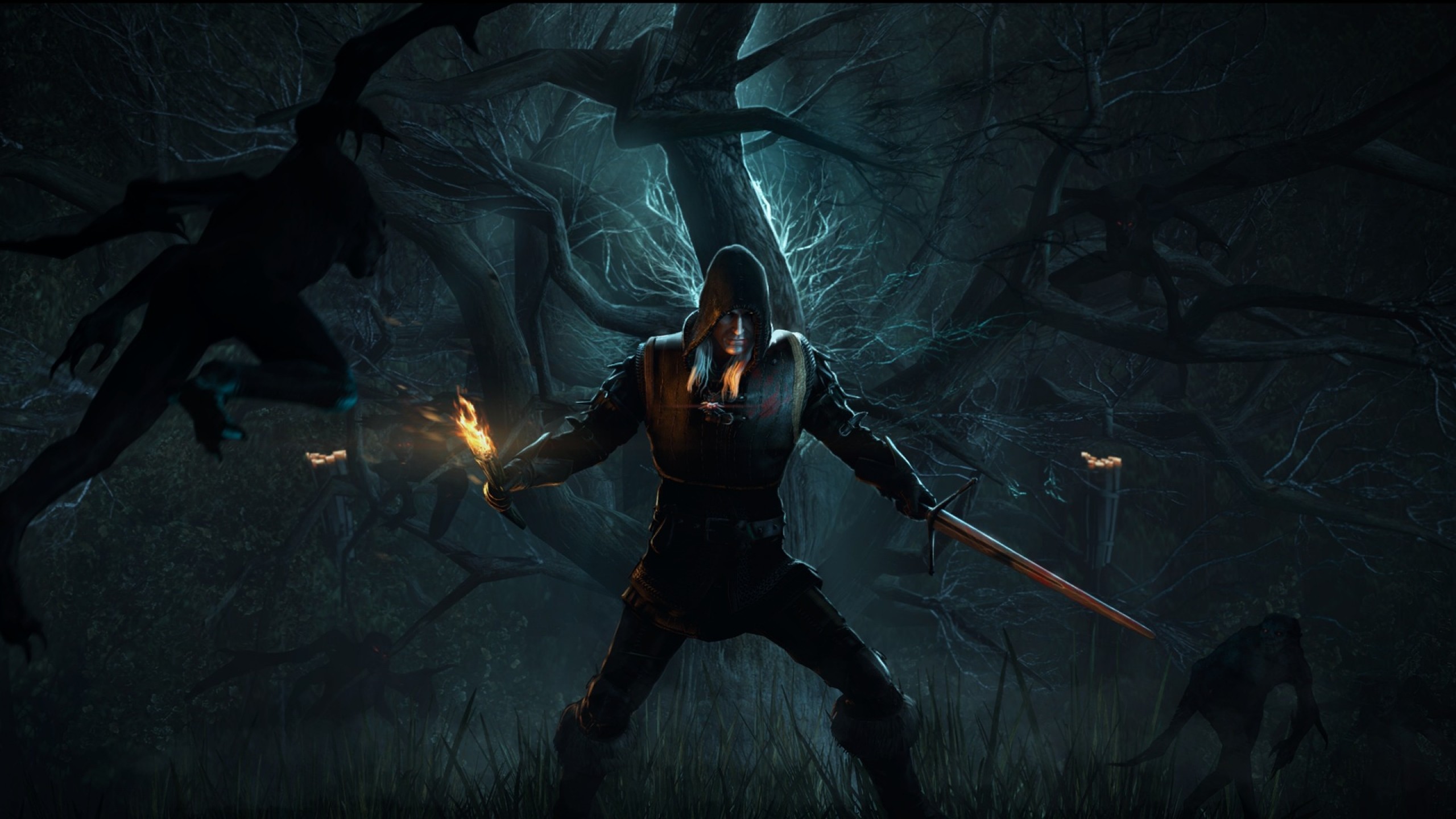Geralt di Rivia, Segno Igni, Foresta, Notte, 2K, wallpaper per portatile