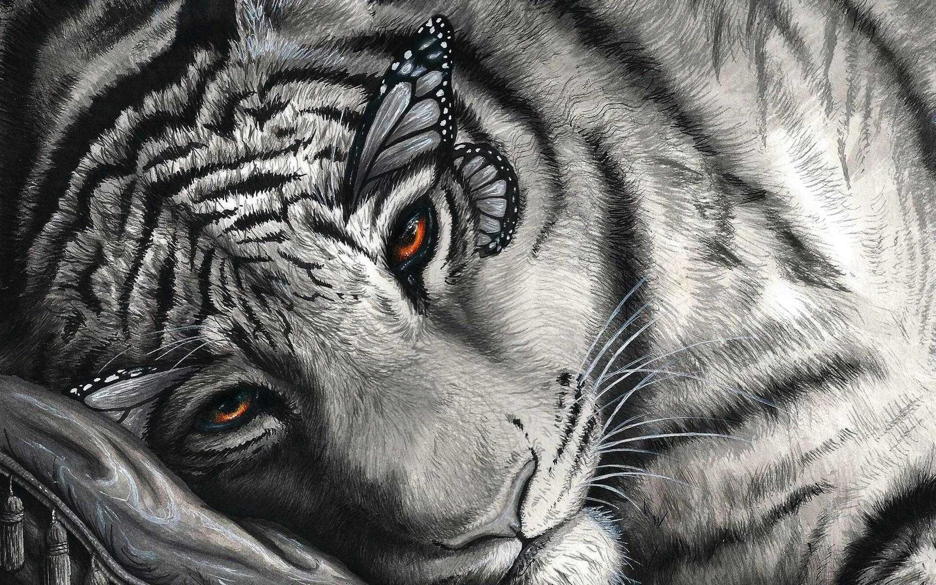 Tigre, Farfalla, Disegno, Bianco e nero, 1920x1200, immagine di sfondo