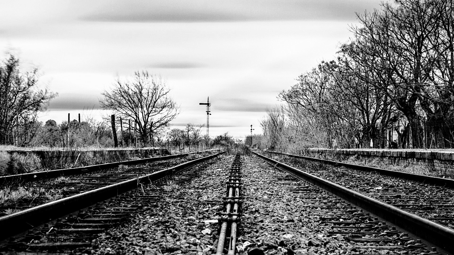 Binari ferroviari, Alberi spogli, Ferrovia, Monocromatico, 1920x1080, immagine di sfondo