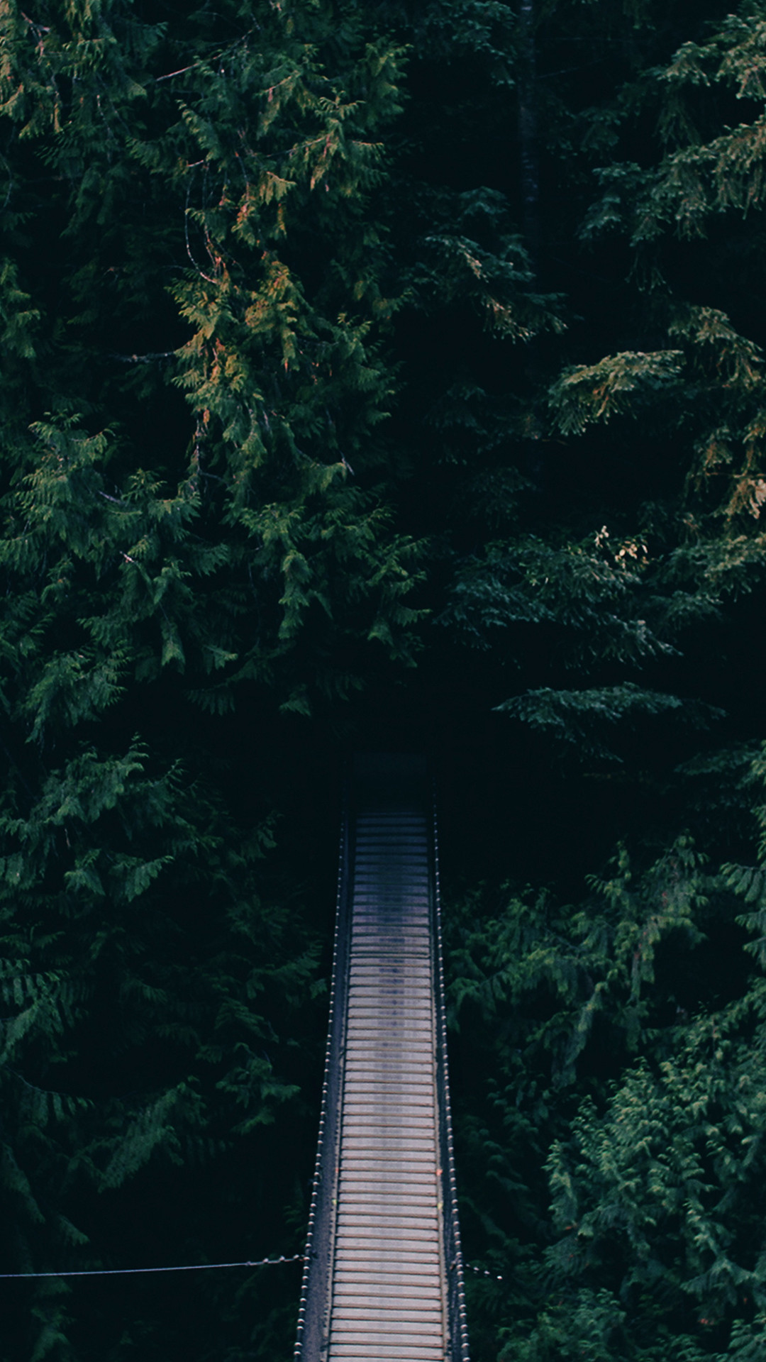 Pictures For Android Wallpaper, Full HD, sfondo verticale per cellulare