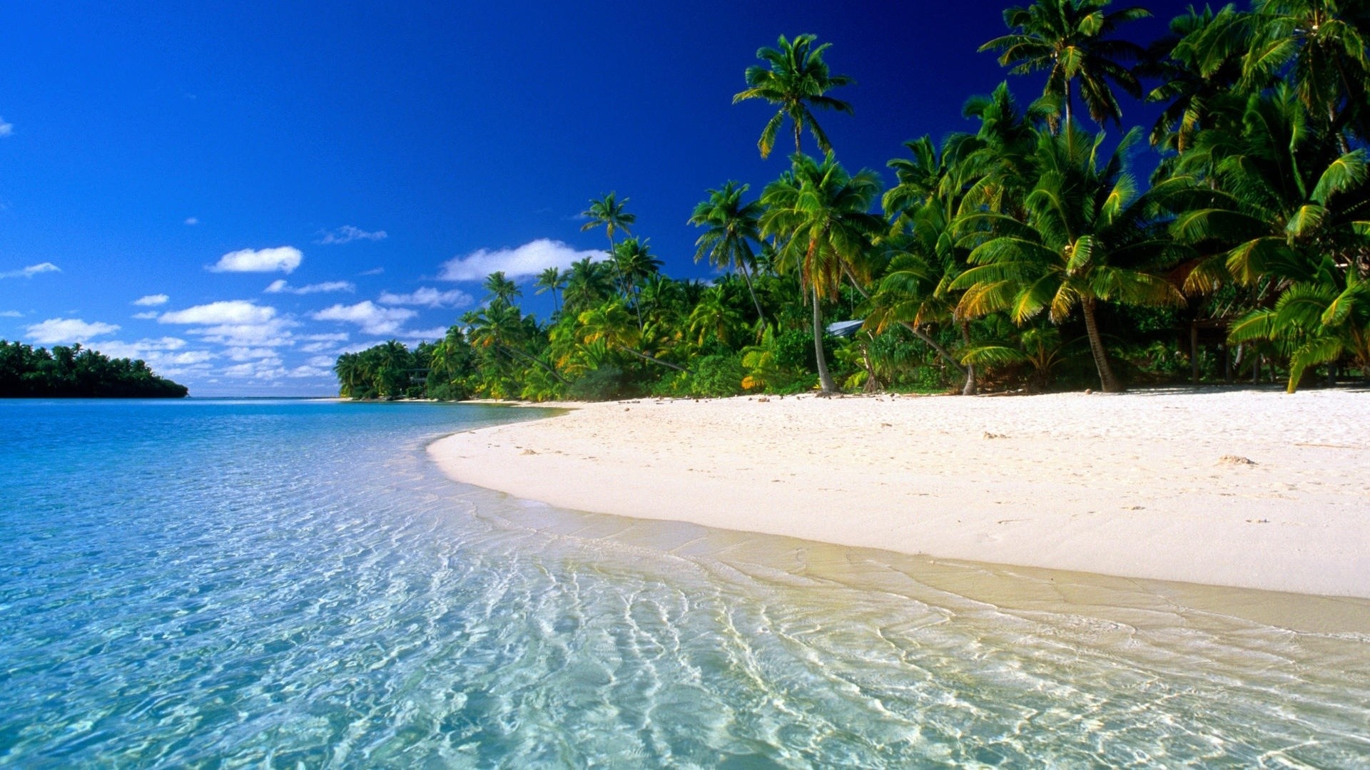 Spiaggia tropicale, Palme, Mare cristallino, Sabbia bianca, Full HD 1080p, sfondo desktop