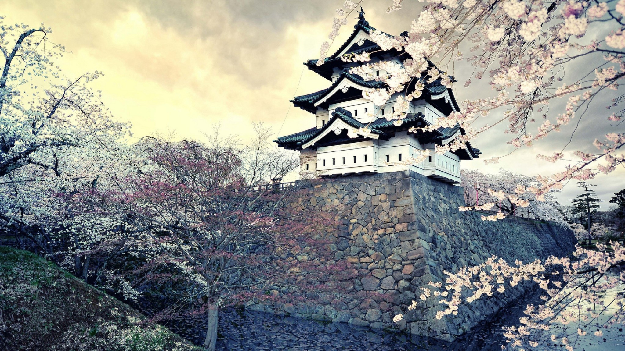 Castello di Hirosaki, Hirosaki, Giappone, Ciliegi in fiore, Full HD, sfondo per PC