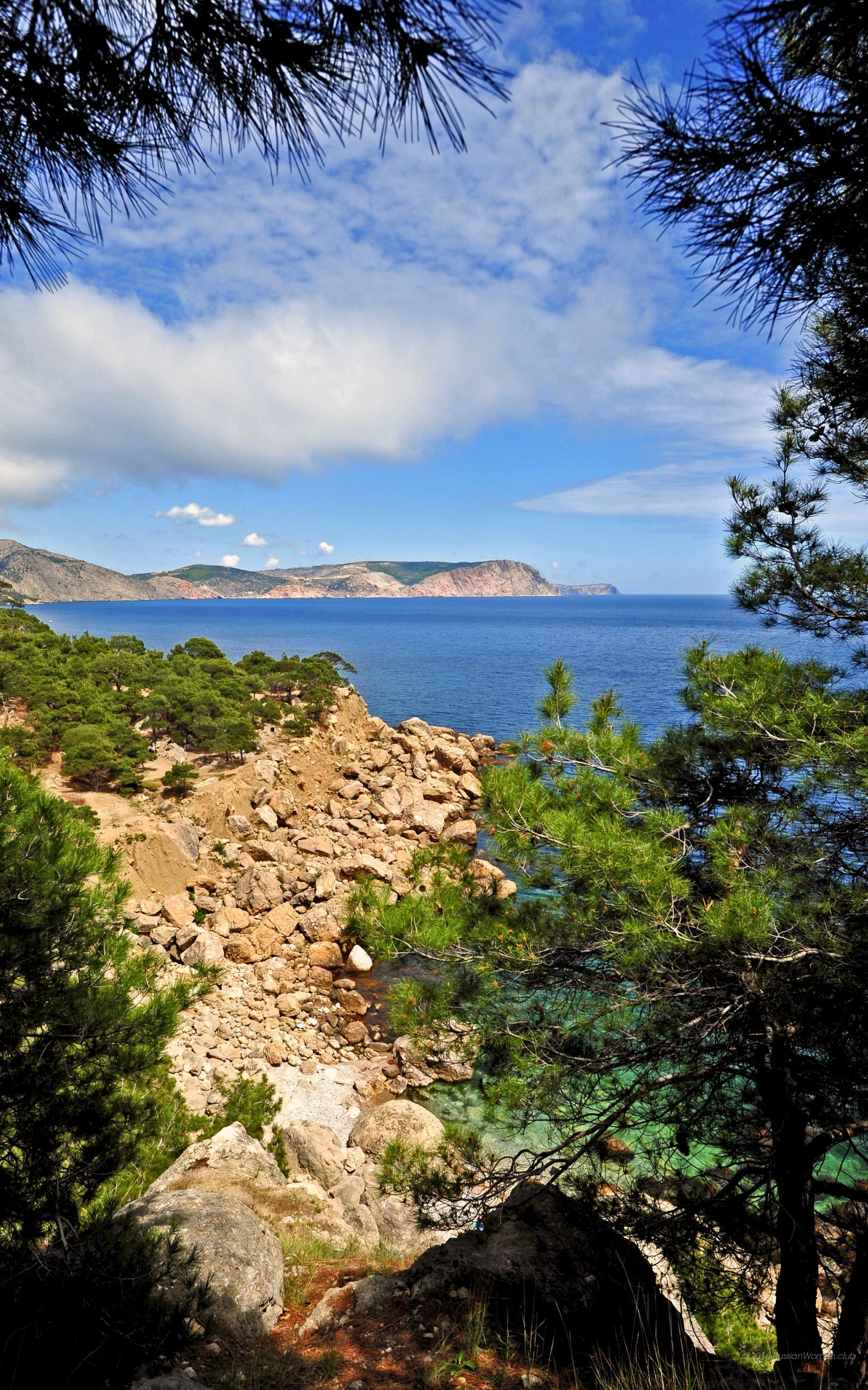 Costa, Mare, Pini, Rocce, QHD+, sfondo per smartphone