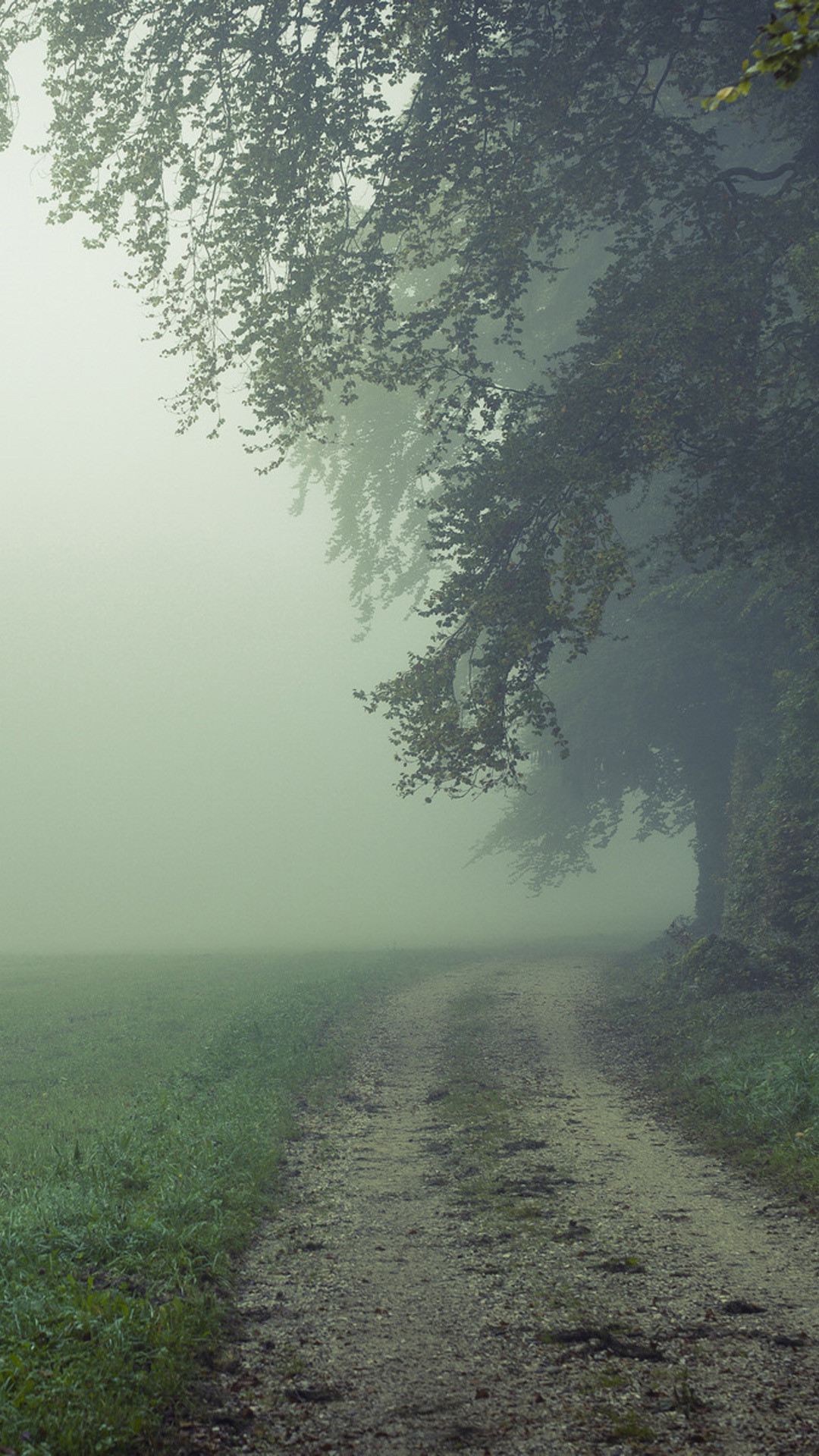 Sentiero, Nebbia, Alberi, Prato, Campagna, sfondo schermata di blocco iPhone 6S