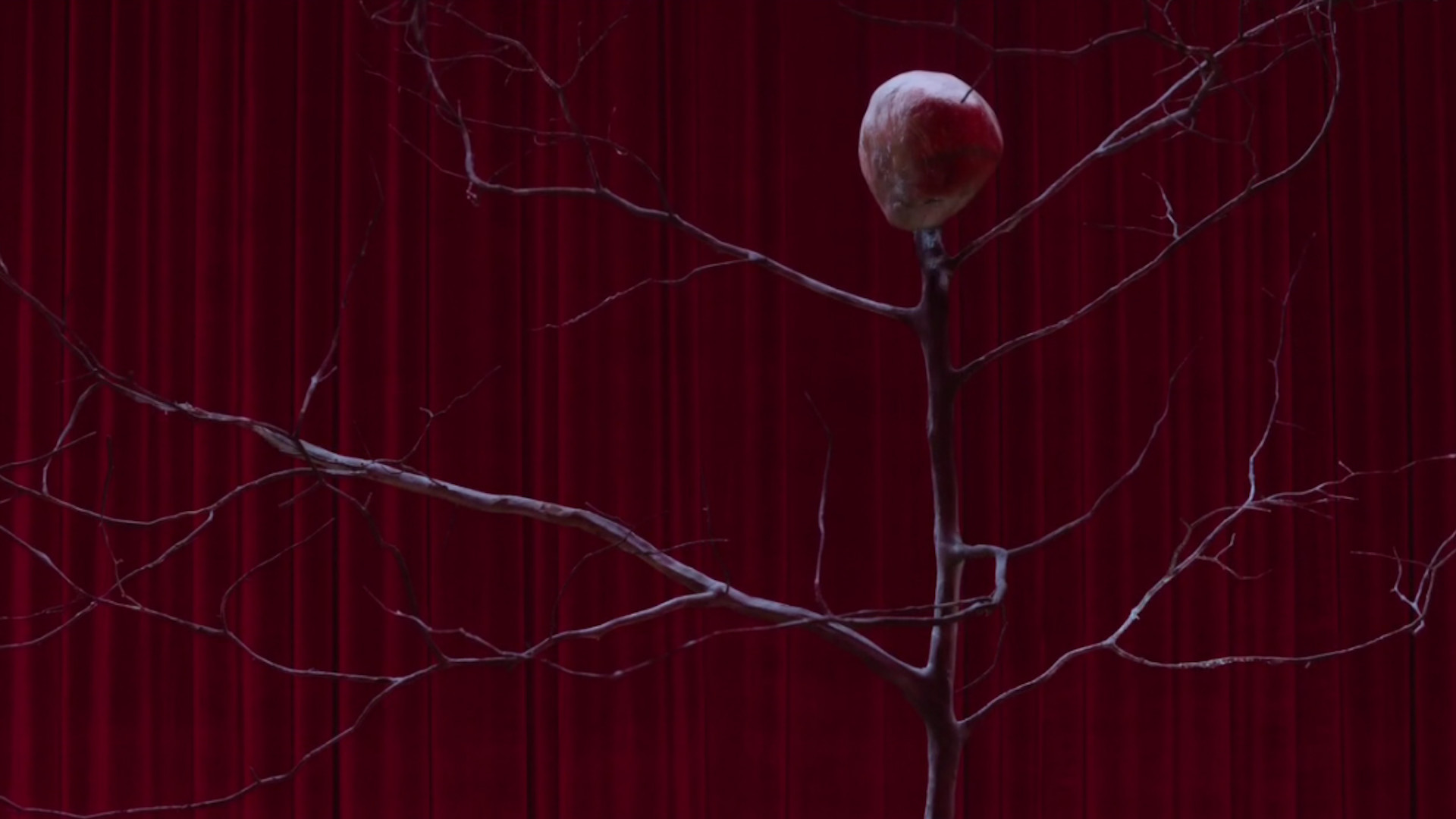 Twin Peaks, Tende rosse, Ramo, Loggia Nera, Full HD, sfondo per portatile