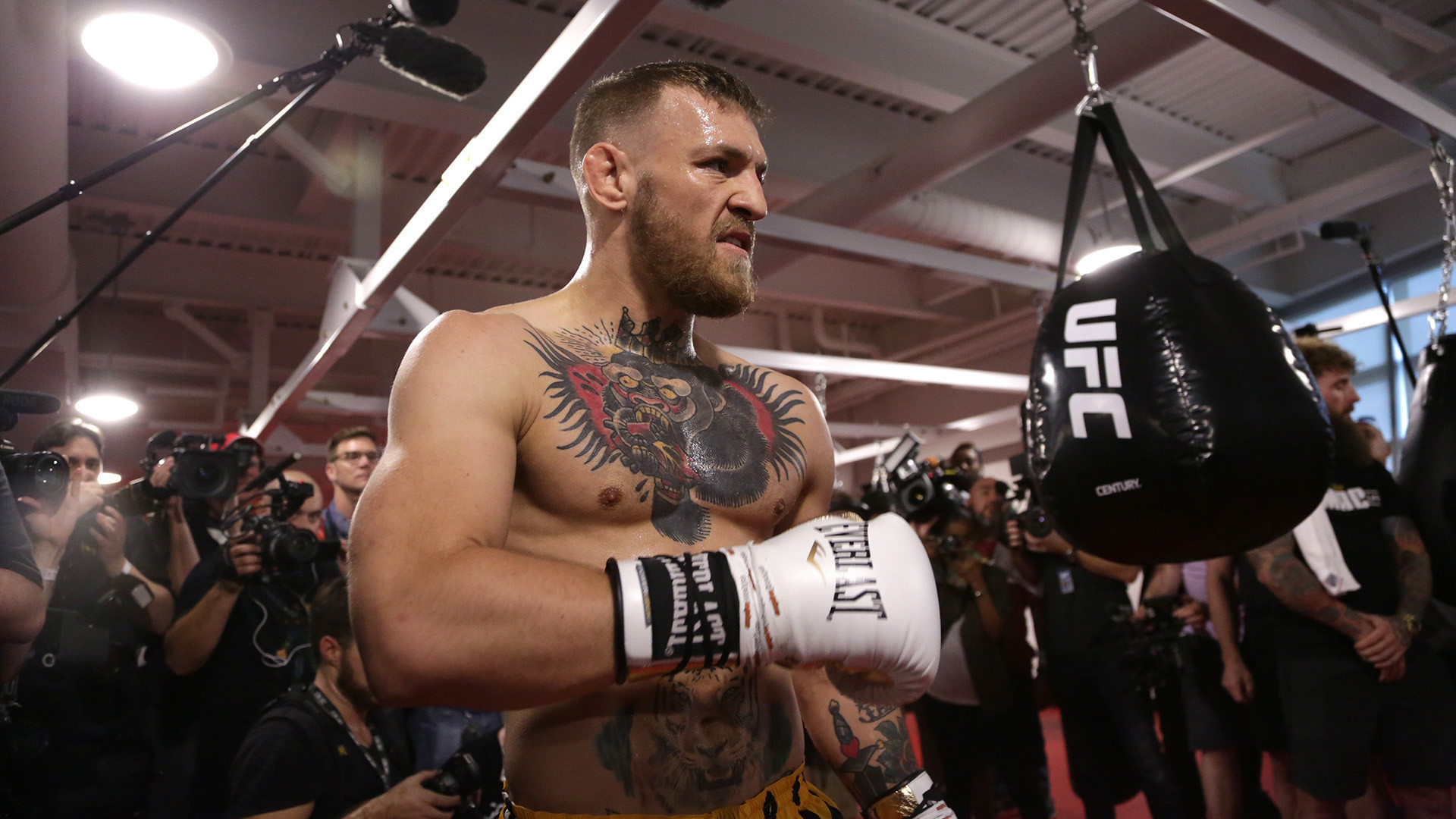 Conor McGregor, Allenamento aperto, Guantoni, Sacco da boxe, Full HD 1080p, sfondo desktop