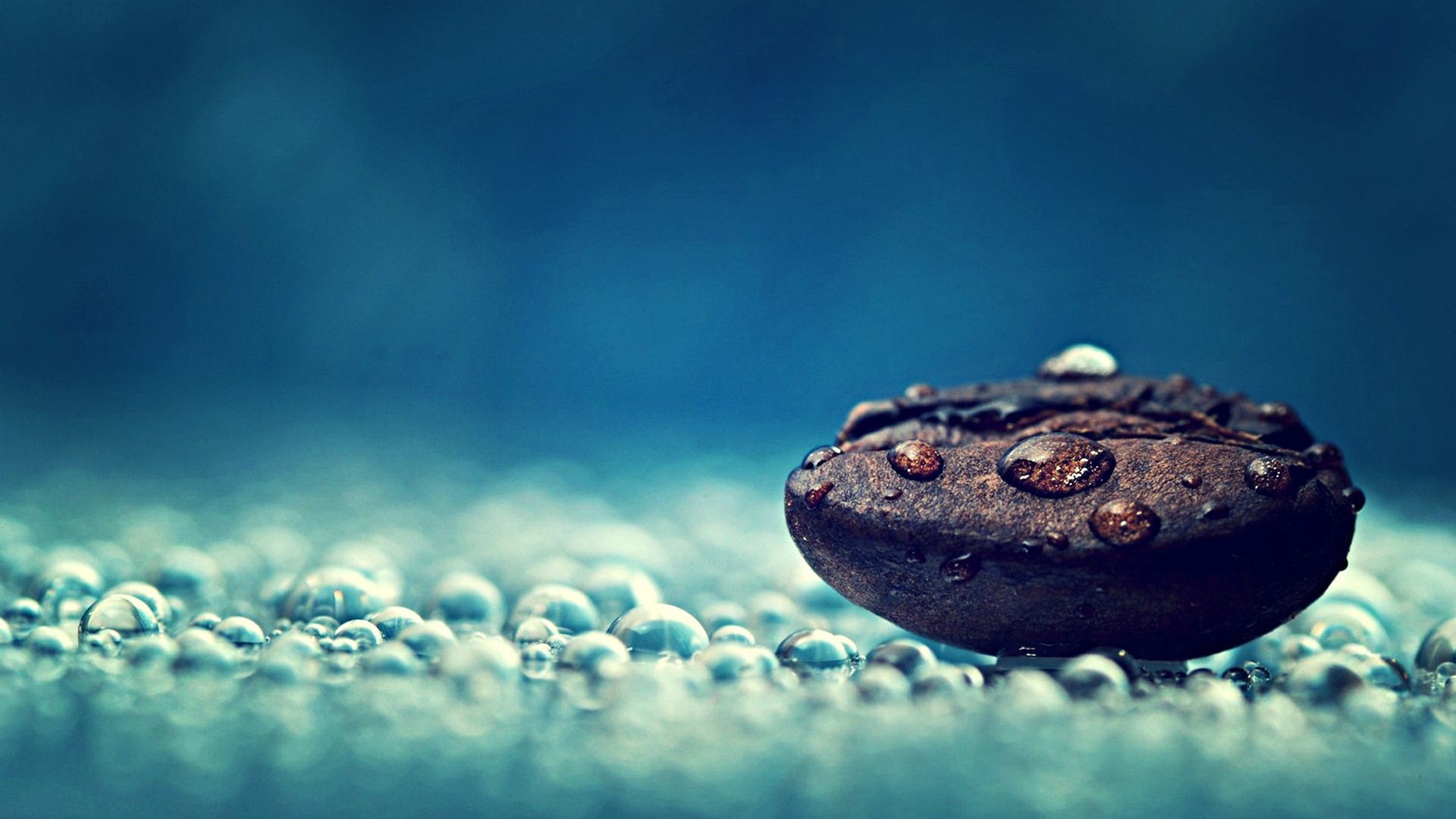 Chicco di caffè, Gocce d'acqua, Macro, Turchese, Full HD 1080p, sfondo desktop