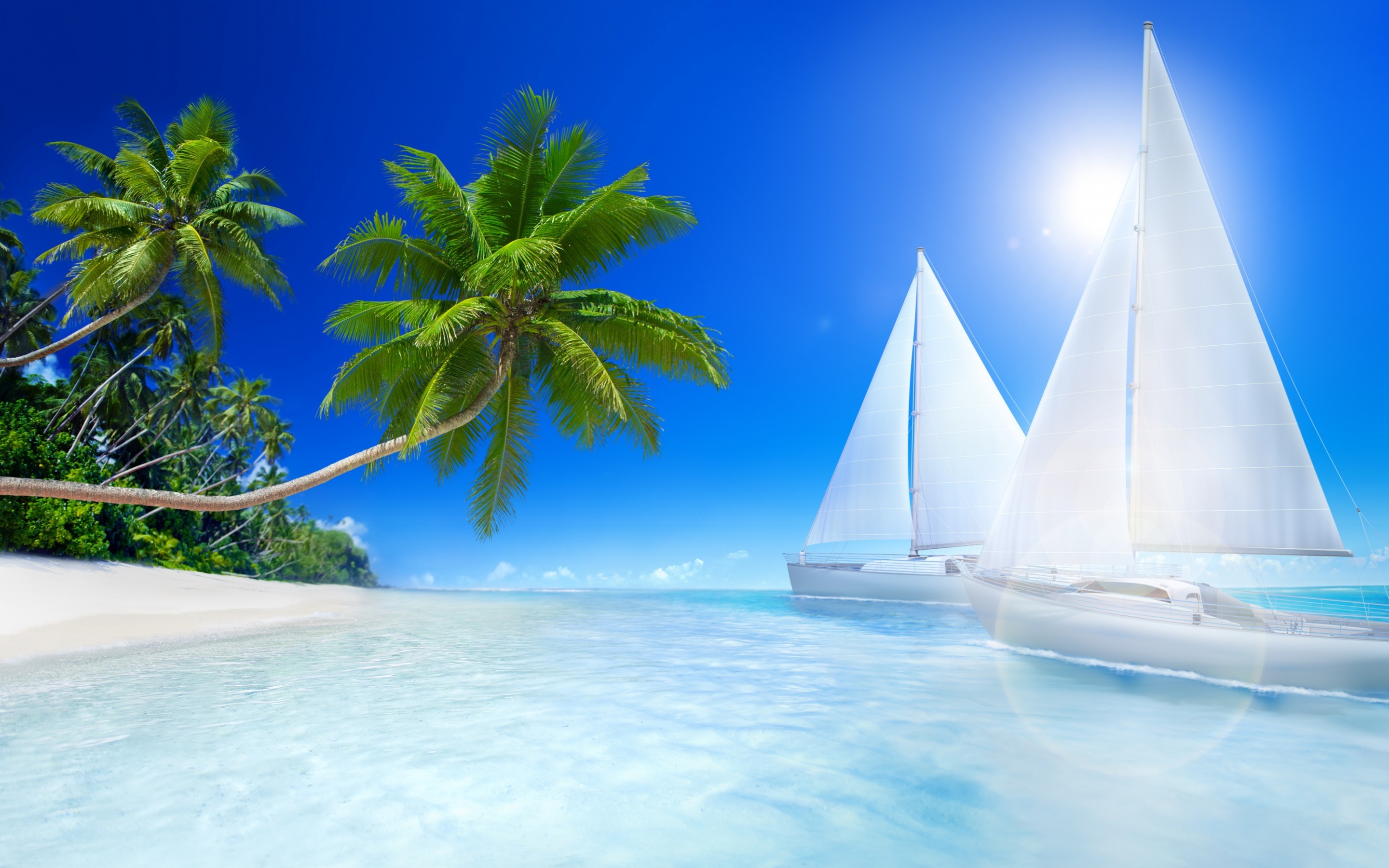 Barche a vela, Palme, Sole, Mare turchese, 2880x1800, sfondo MacBook Pro