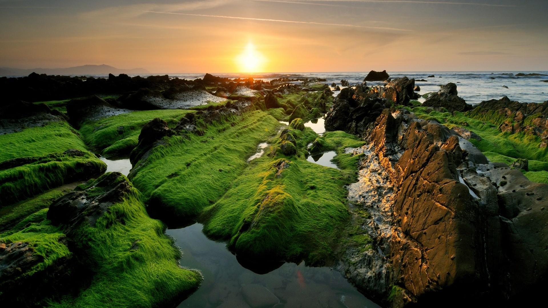 Costa, Scogli muschiosi, Tramonto, Mare, Full HD 1080p, sfondo desktop
