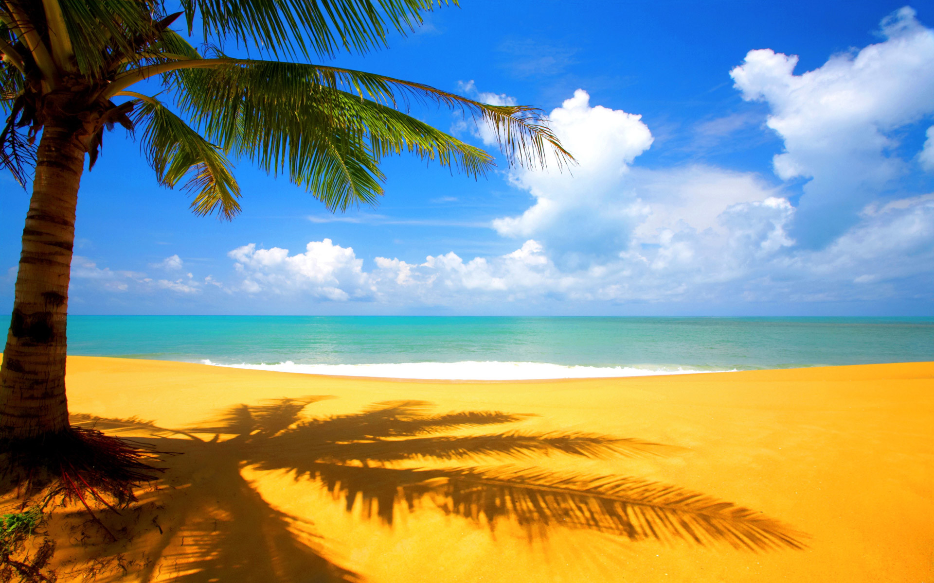 Palma, Spiaggia dorata, Mare, Cielo blu, 16:10 Full HD, wallpaper widescreen