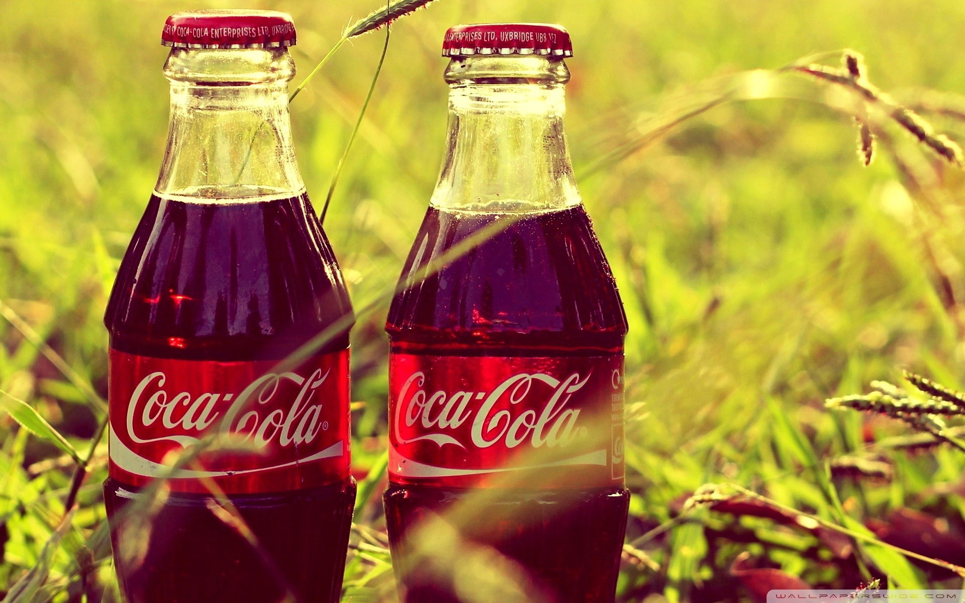 Coca-Cola, Bottiglie di vetro, Erba, Estate, 1920x1200, sfondo MacBook Pro