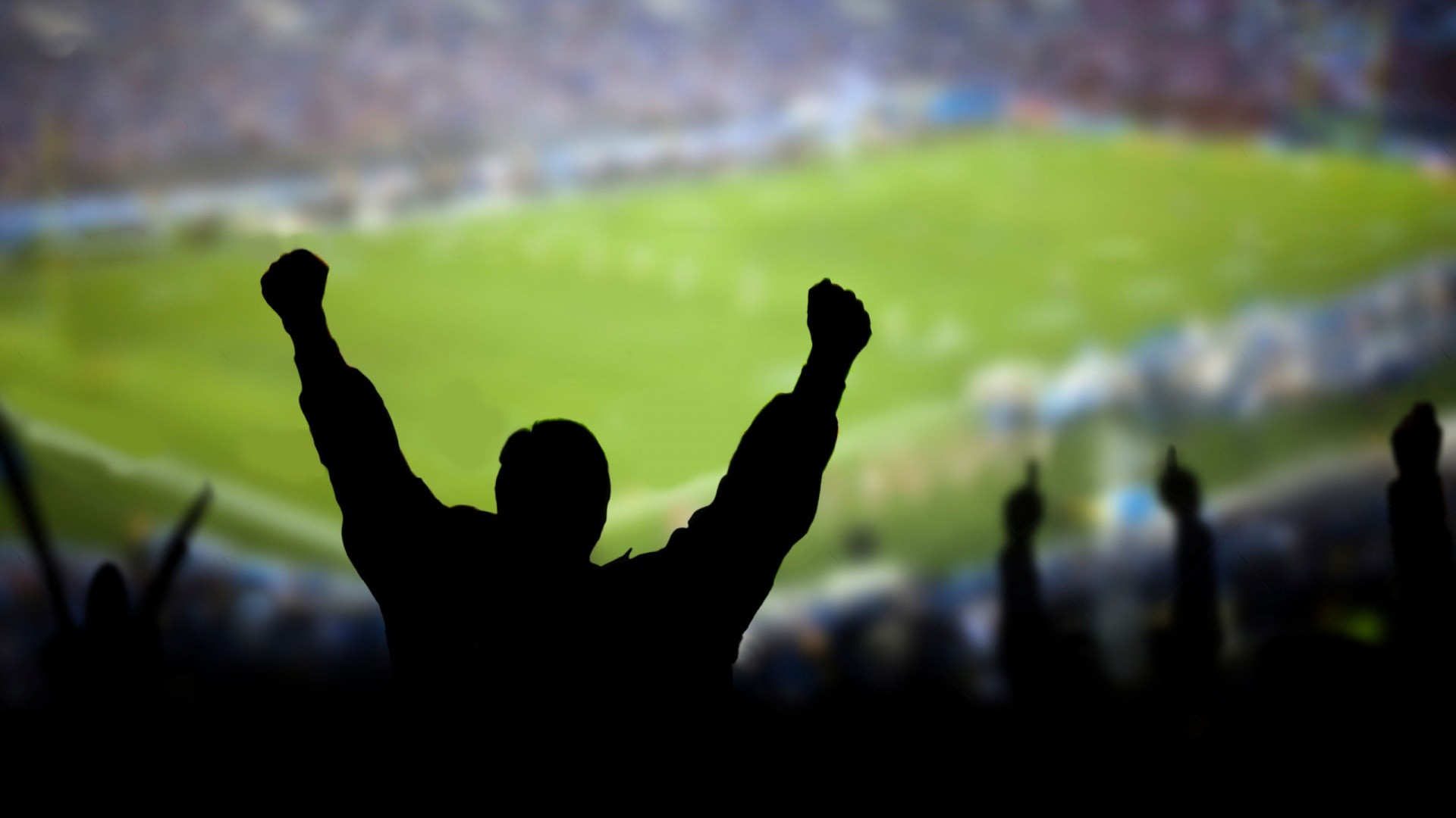 Tifoso, Esultanza, Silhouette, Stadio, Full HD, sfondo per PC