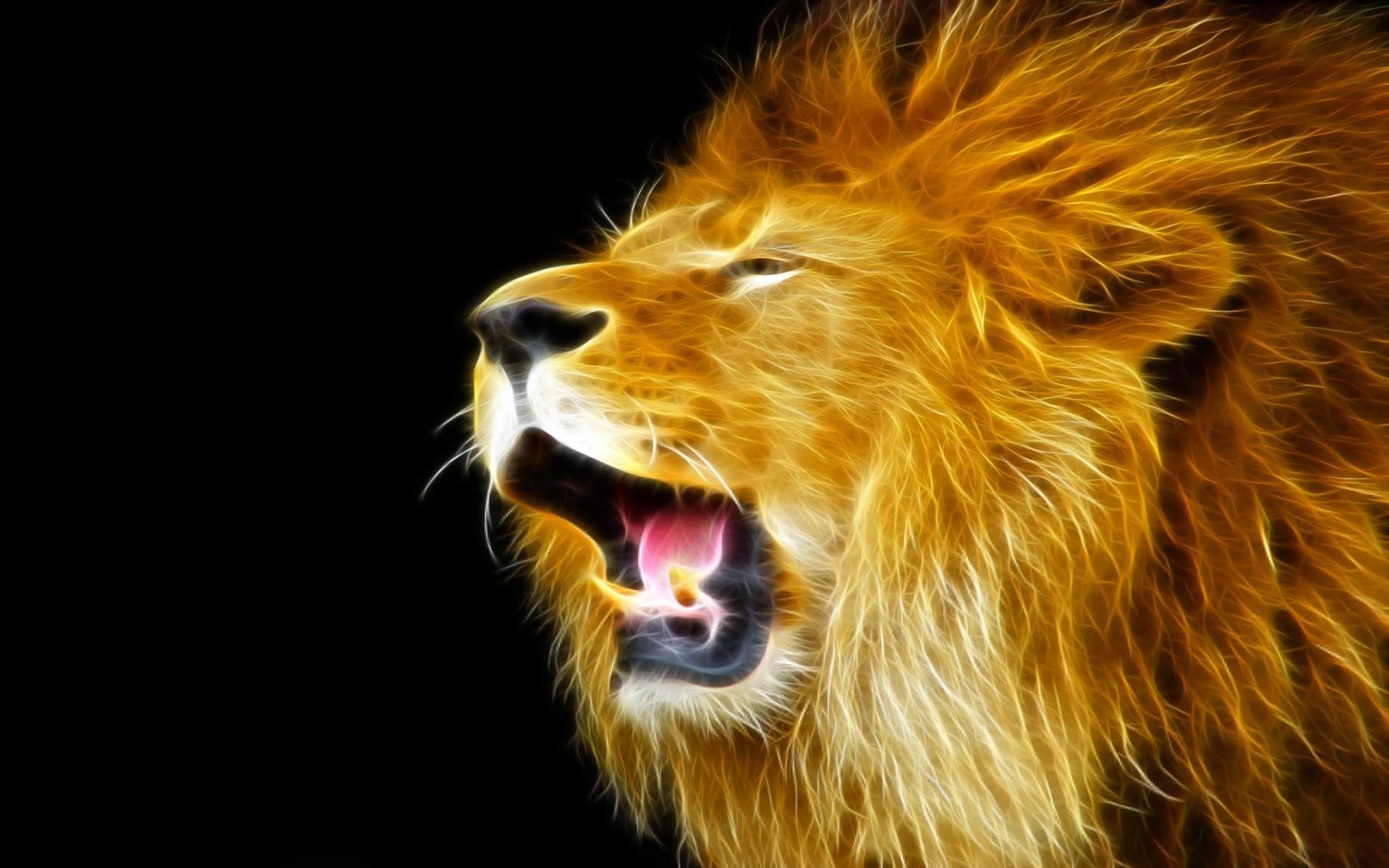 Leone, Criniera, Profilo, Sfondo nero, 16:10 Full HD, wallpaper widescreen