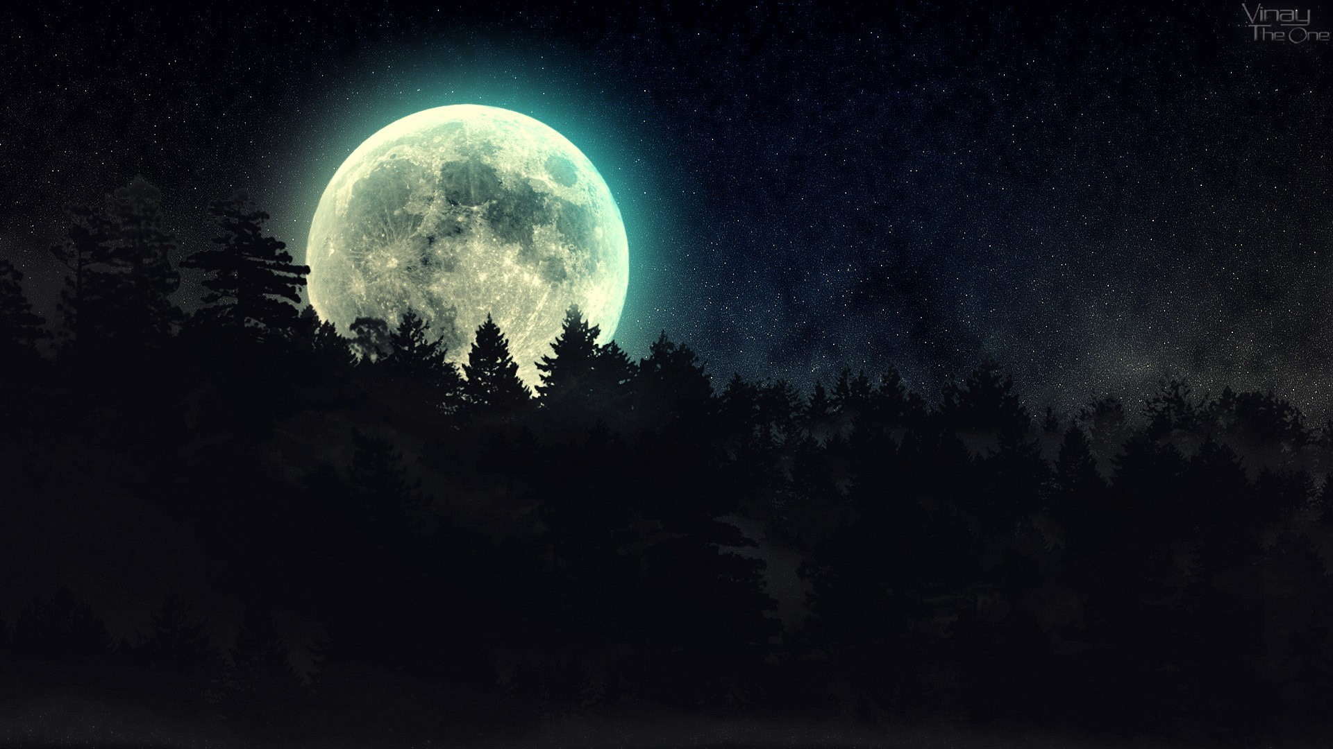 Luna piena, Foresta di notte, Cielo stellato, Silhouette, 1920x1080, sfondo per PC
