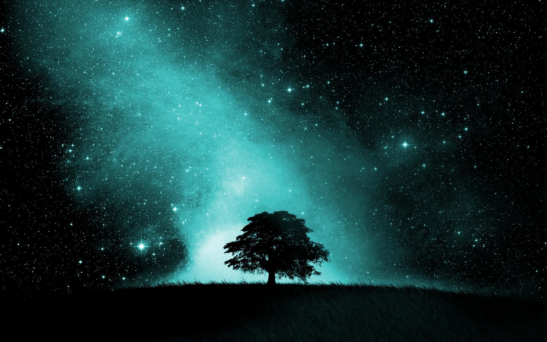 Albero solitario, Cielo stellato, Verde acqua, Silhouette, Notte, sfondo 16:10 Full HD