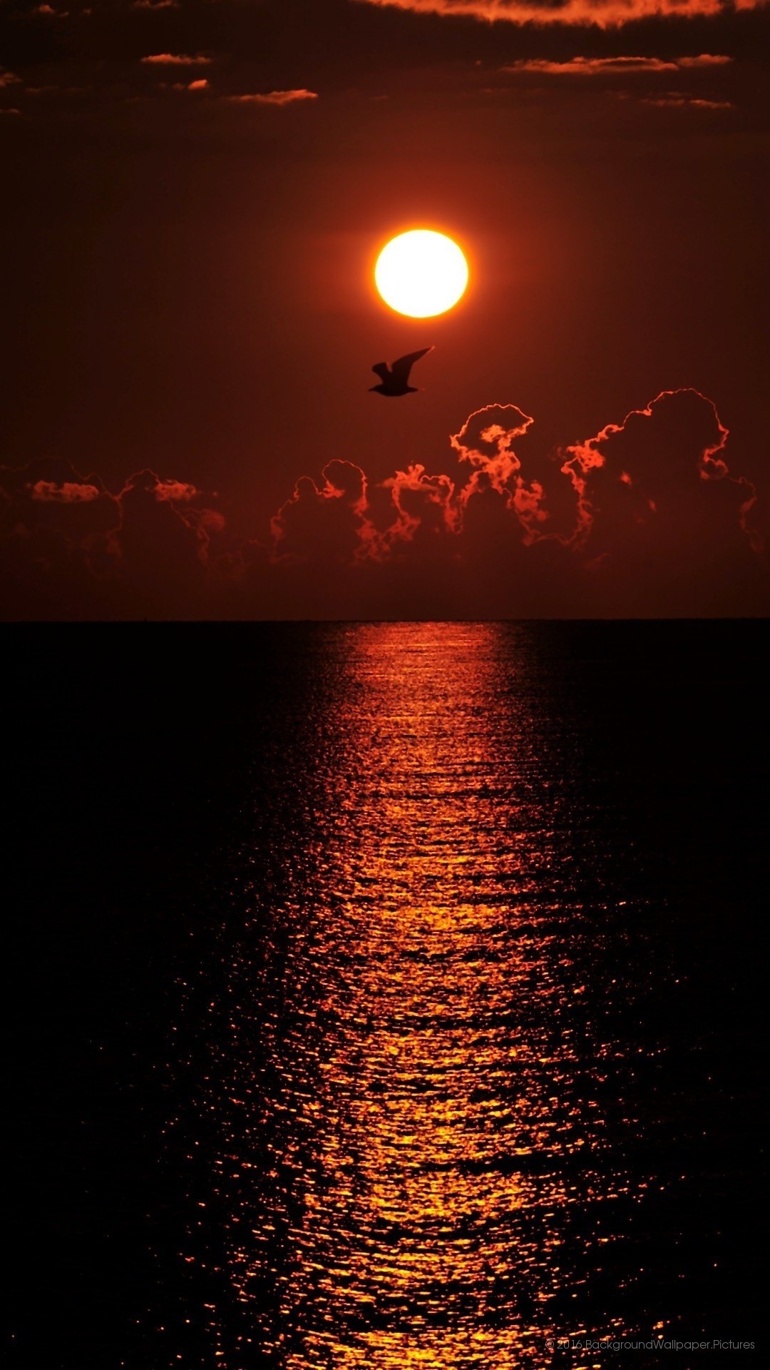 Tramonto, Mare, Sole, Rosso, sfondo Full HD per cellulare
