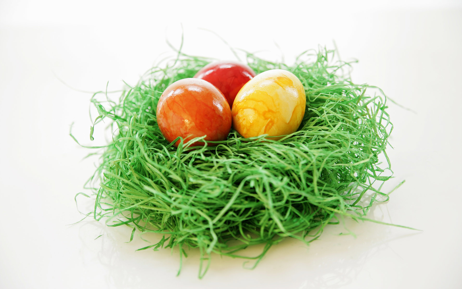 Uova di Pasqua, Nido, Erba, Sfondo bianco, 1920x1200, wallpaper desktop