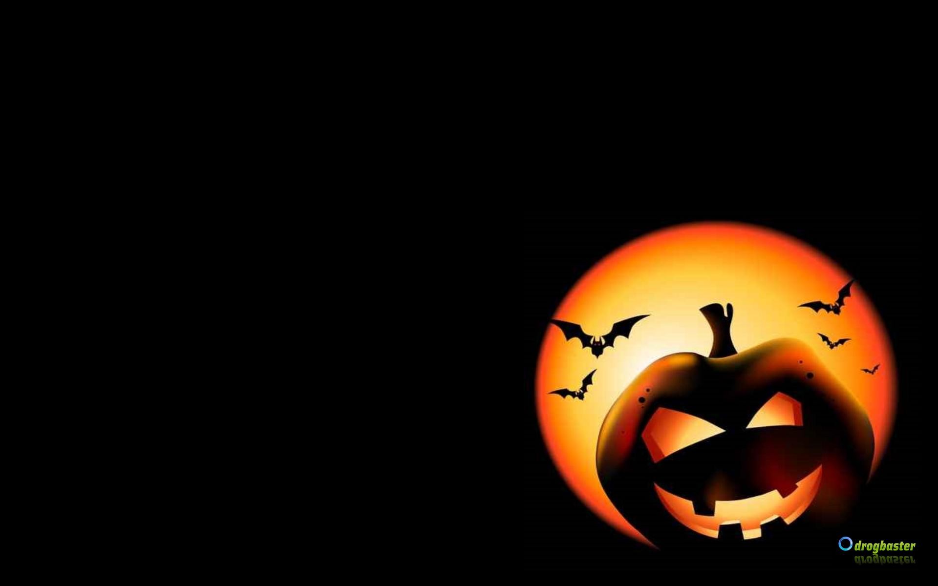 Jack-o'-lantern, Pipistrelli, Sfondo nero, 16:10 Full HD, wallpaper widescreen