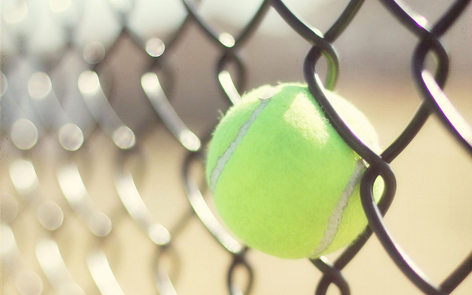 Pallina da tennis, Rete metallica, Bokeh, 1920x1200, immagine di sfondo