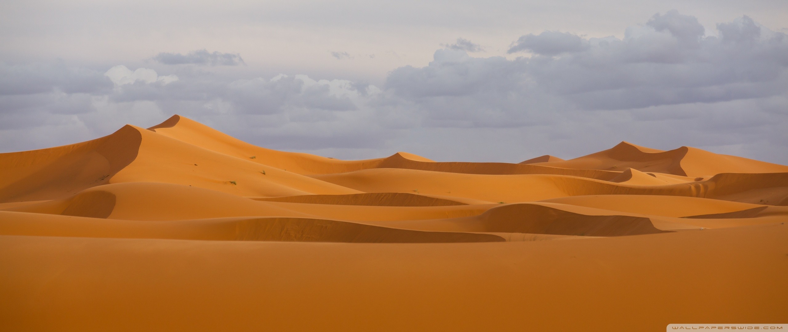 Erg Chebbi, Sahara, Dune di sabbia, Marocco, 21:9 1080p, sfondo per monitor ultrawide