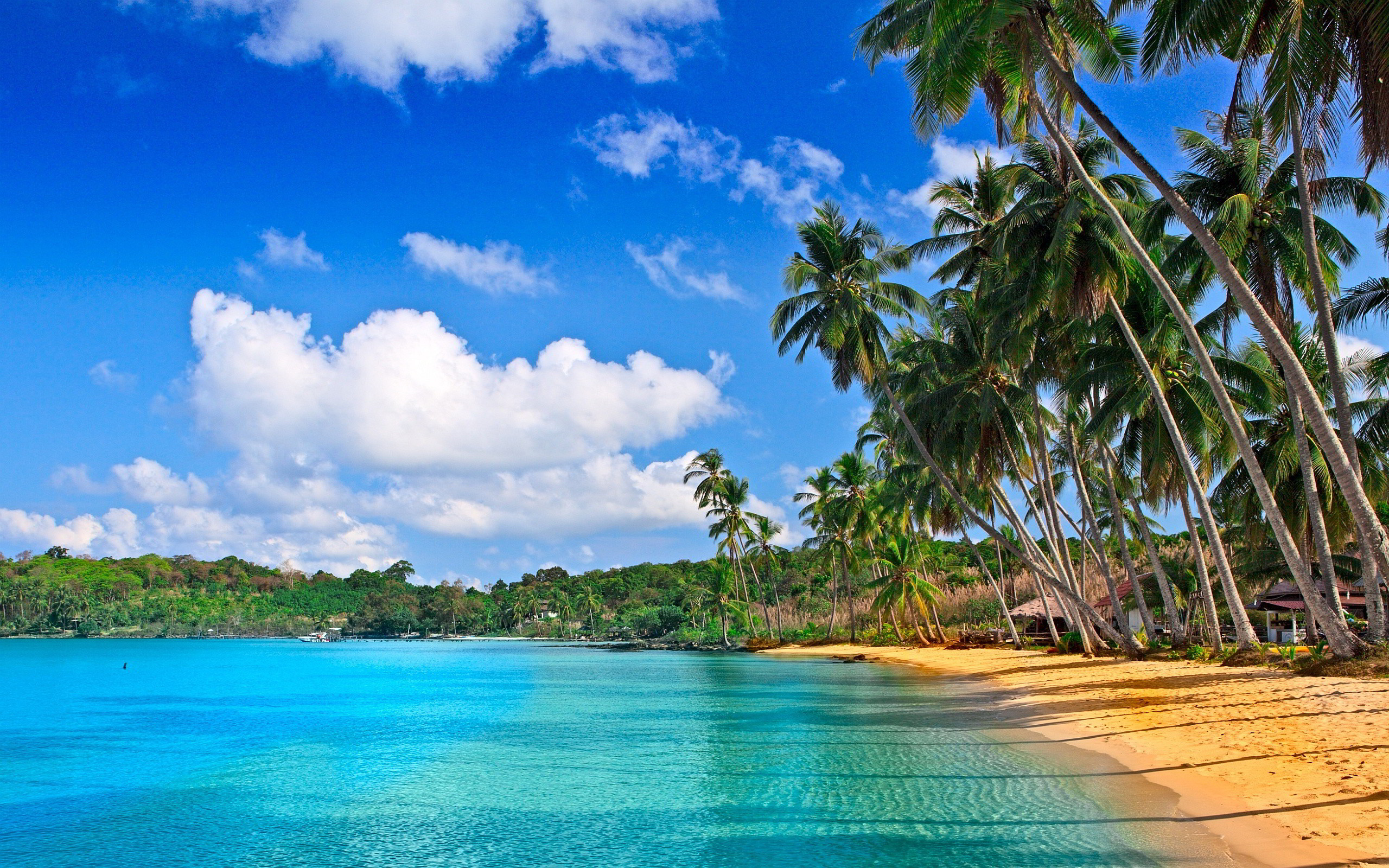 Palme, Spiaggia tropicale, Acqua turchese, Nuvole, 2560x1600, immagine di sfondo