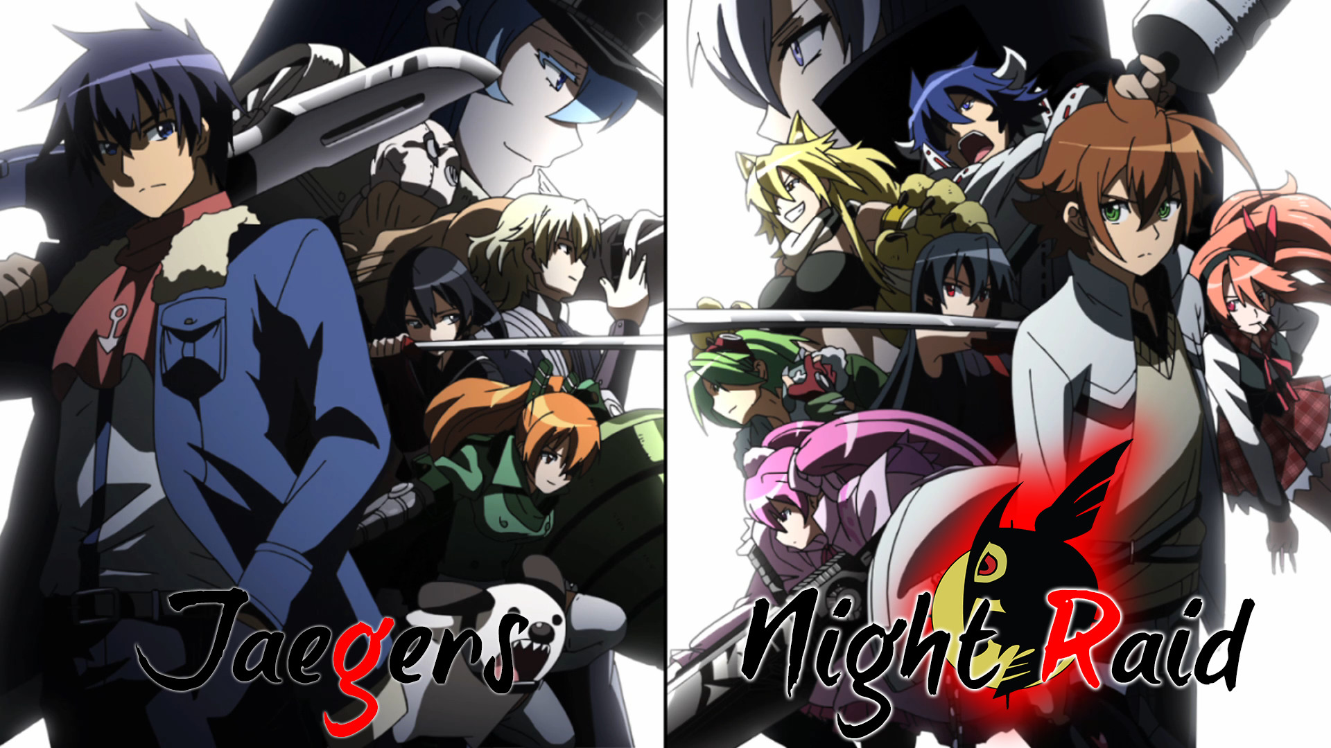 Jaegers, Night Raid, Akame ga Kill!, Wave, Tatsumi, 1920x1080, immagine di sfondo