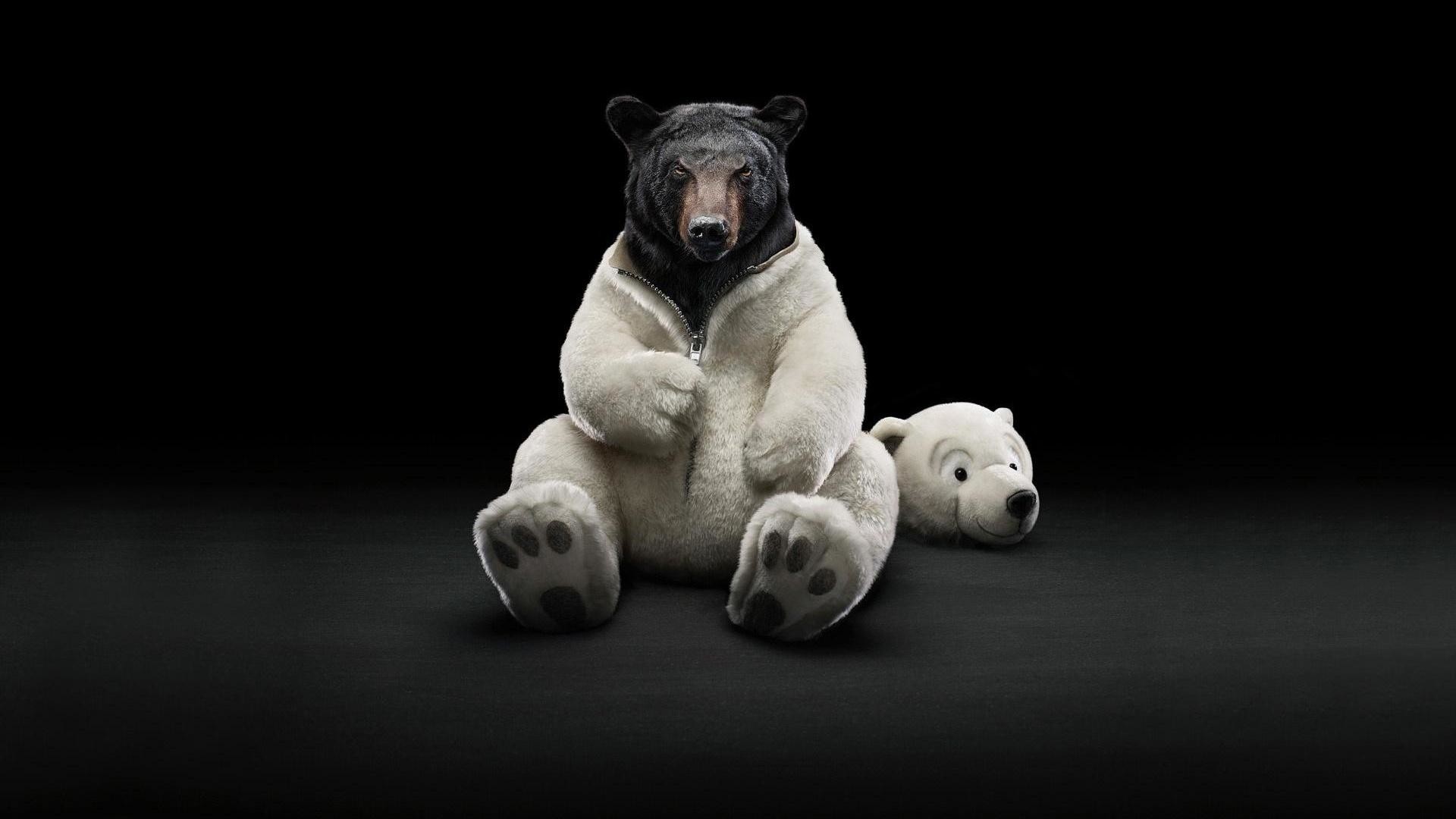 Orso, Costume da orso polare, Peluche, Surreale, Sfondo nero, Full HD, wallpaper per PC