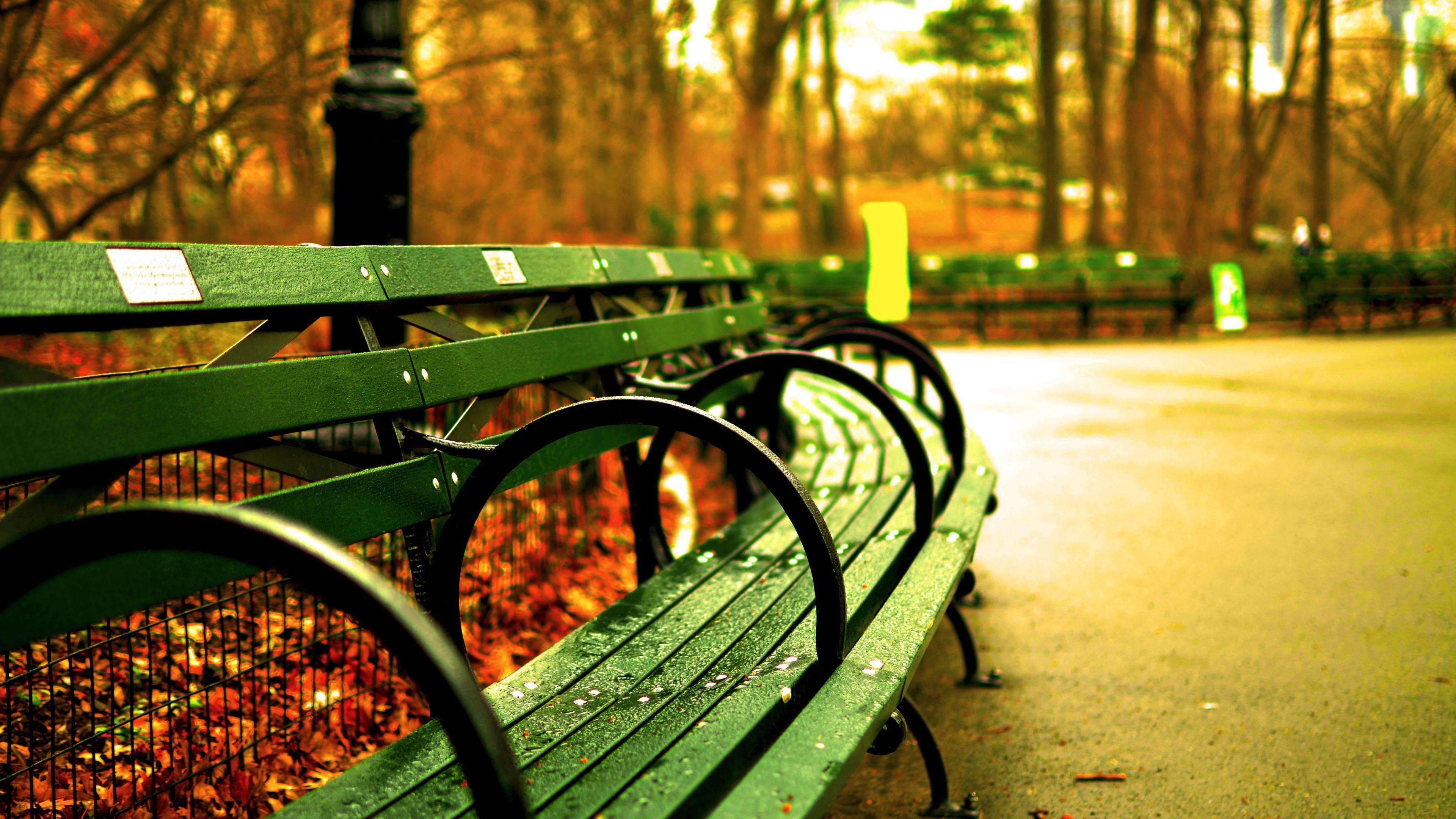 Panchina, Parco, Autunno, Central Park, 4K, sfondo per PC