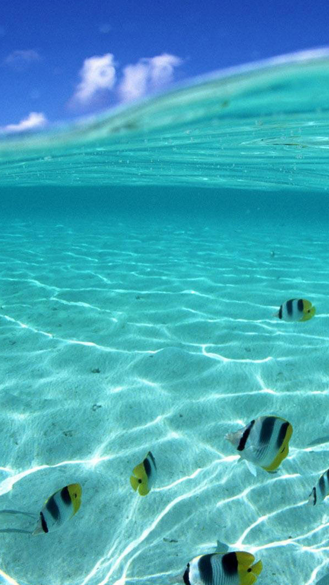 Mare tropicale, Pesci, Sott'acqua, Turchese, Full HD, wallpaper per smartphone