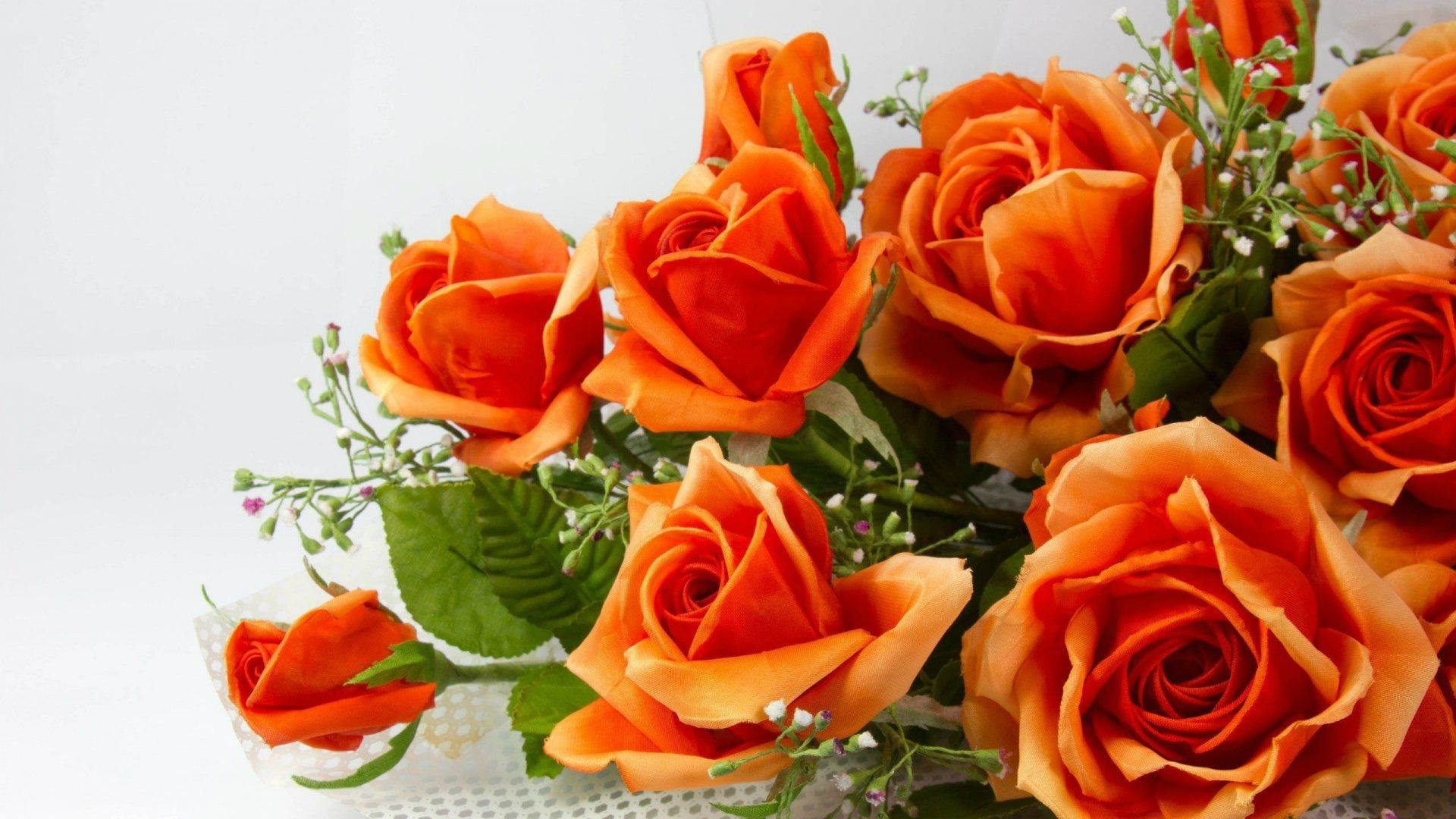 Rose arancioni, Bouquet, Sfondo bianco, Full HD, wallpaper per computer