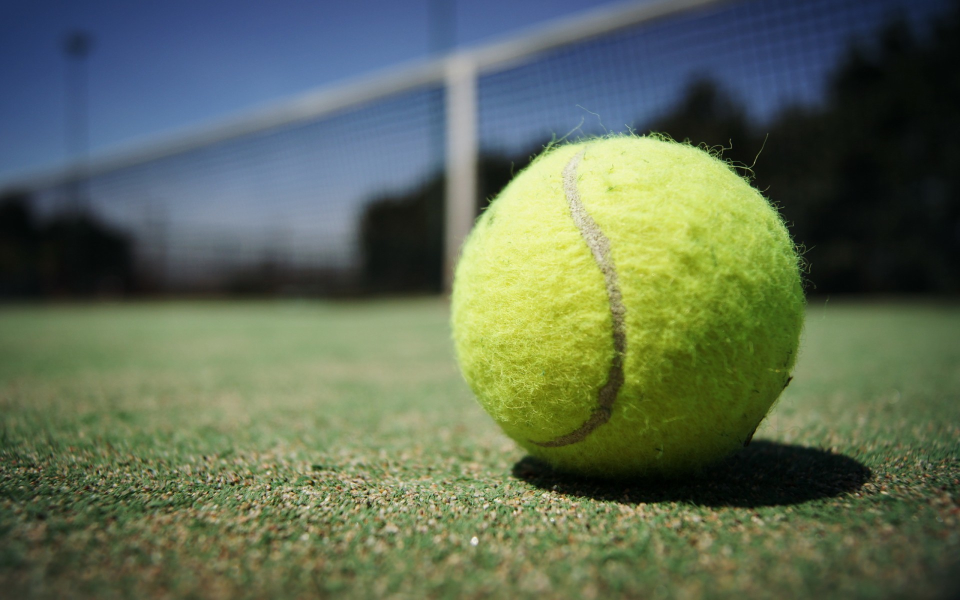 Pallina da tennis, Erba, Rete, Campo, Full HD, sfondo desktop