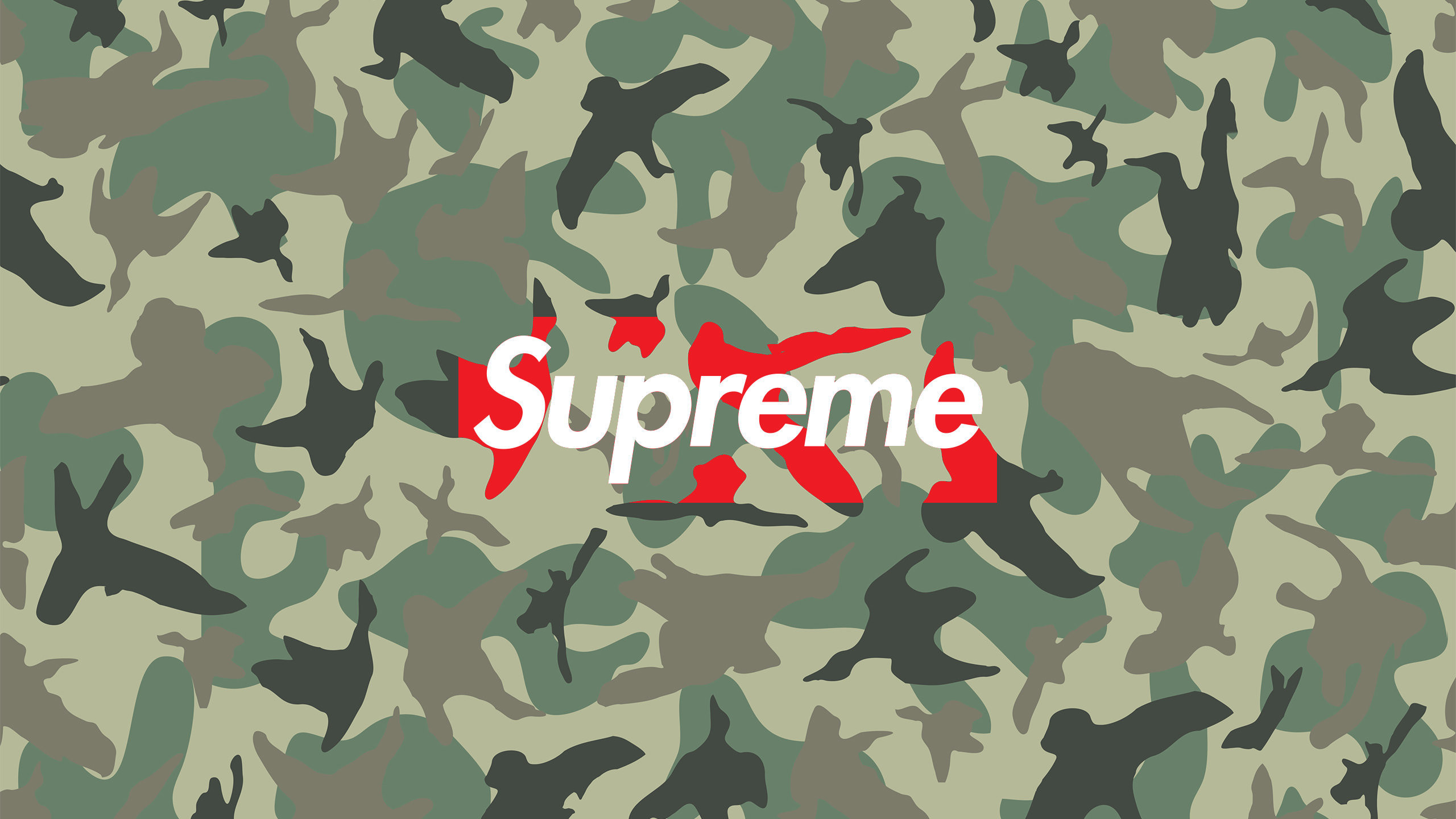 Logo Supreme, Camouflage, Verde, 2560x1440, sfondo per PC