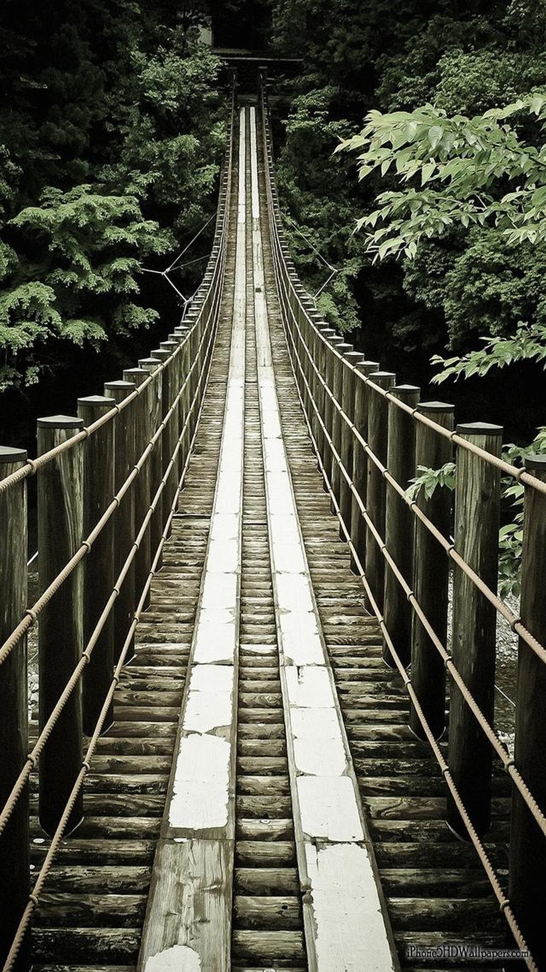 Ponte sospeso, Foresta, Prospettiva, Legno, sfondo per il tuo smartphone
