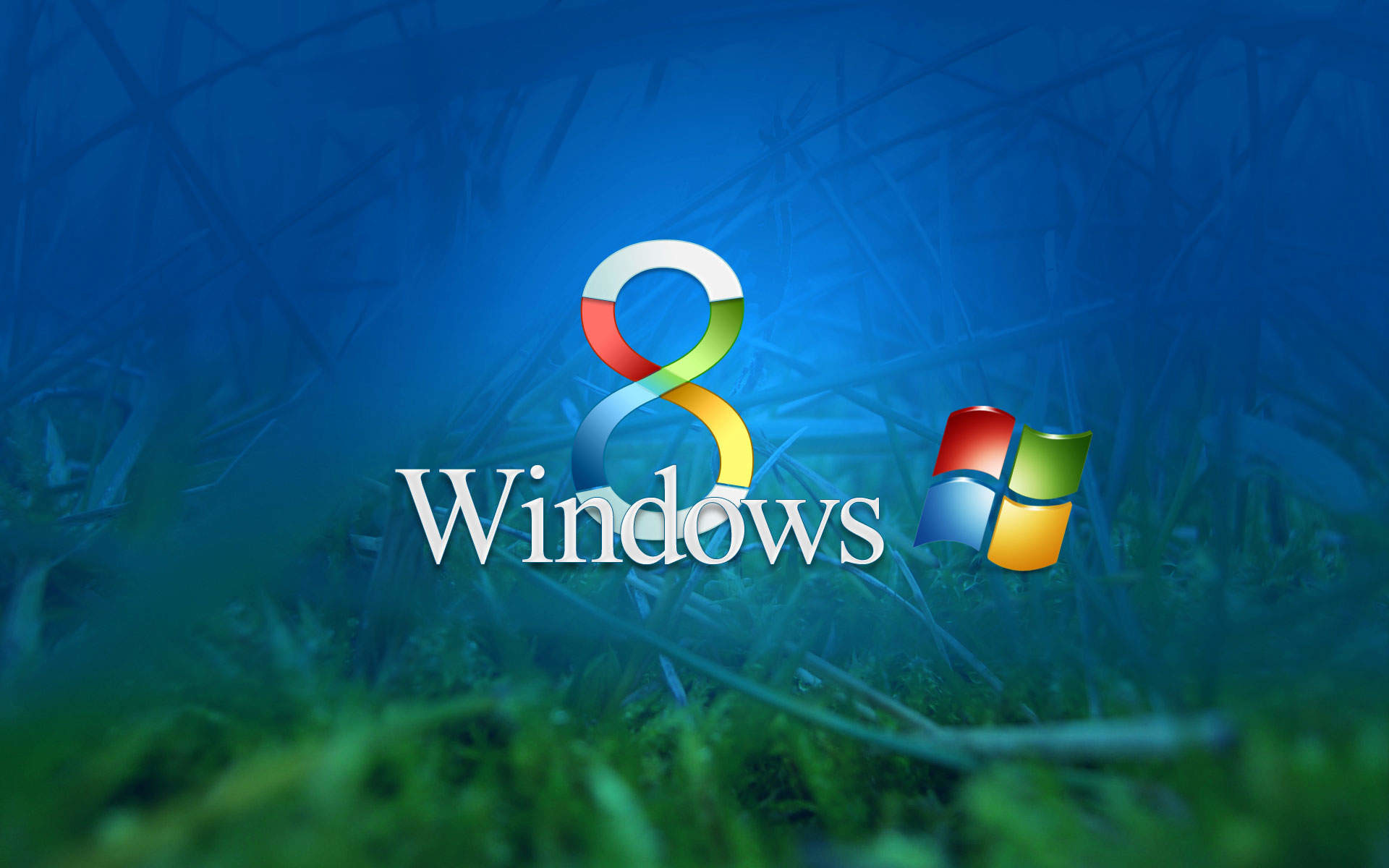 Windows 8, Logo Windows, Erba, Blu, 16:10 Full HD, sfondo widescreen