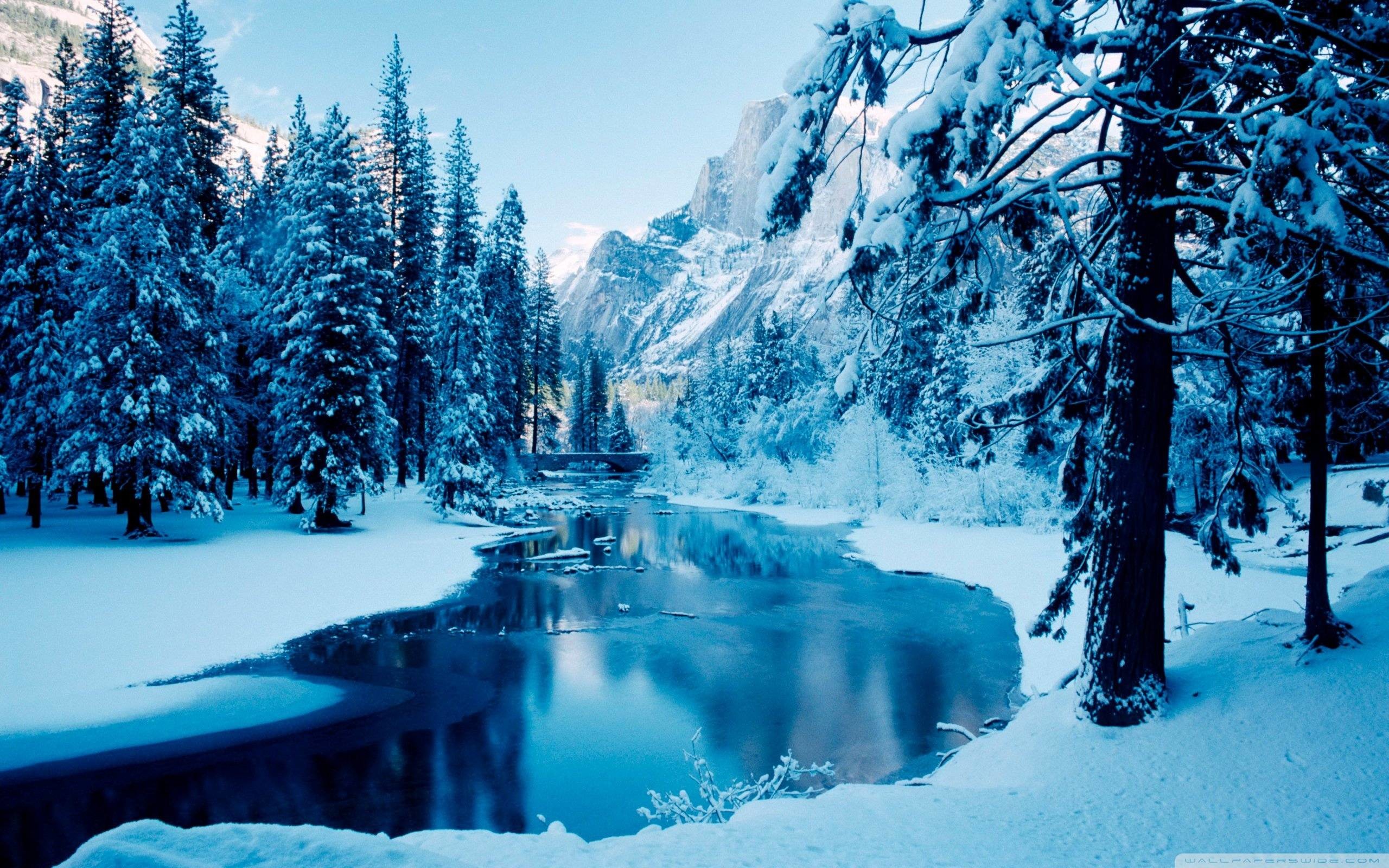 Inverno, Neve, Abeti, Fiume, Montagne, 2560x1600, sfondo per PC