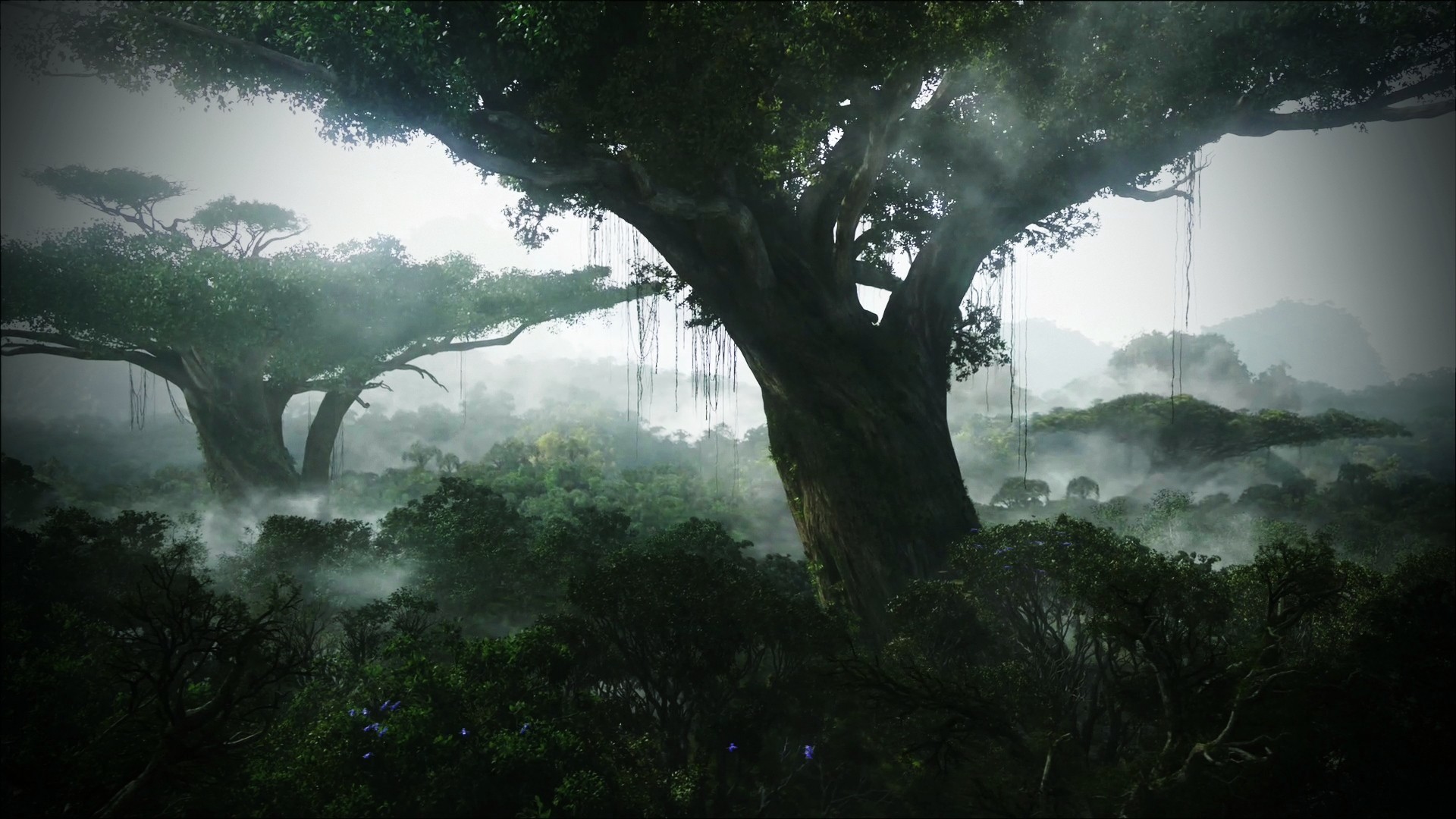 Giungla, Alberi giganti, Nebbia, Arte fantasy, Full HD 1080p, sfondo desktop