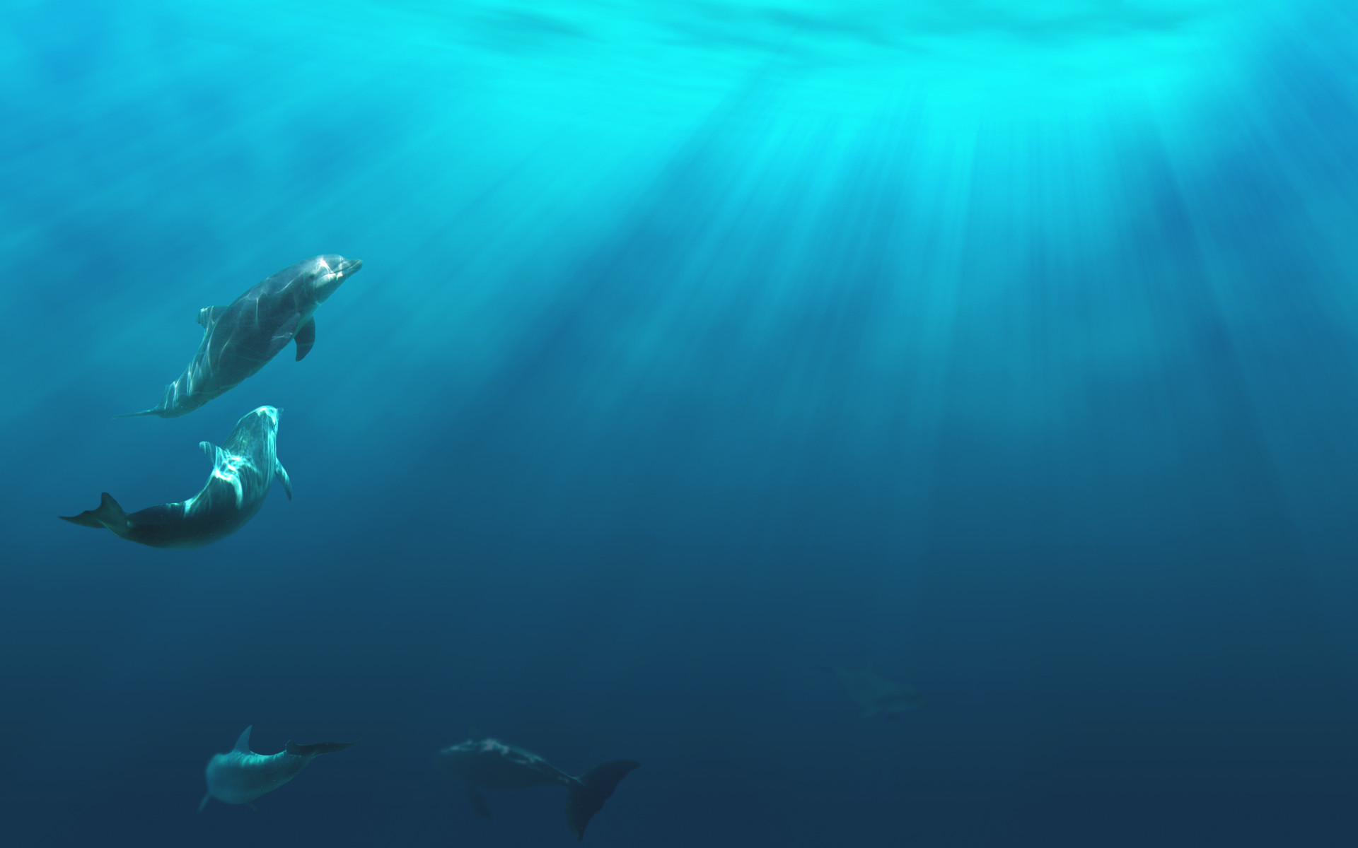 Delfini, Raggi di luce, Oceano, 1920x1200, sfondo MacBook Pro