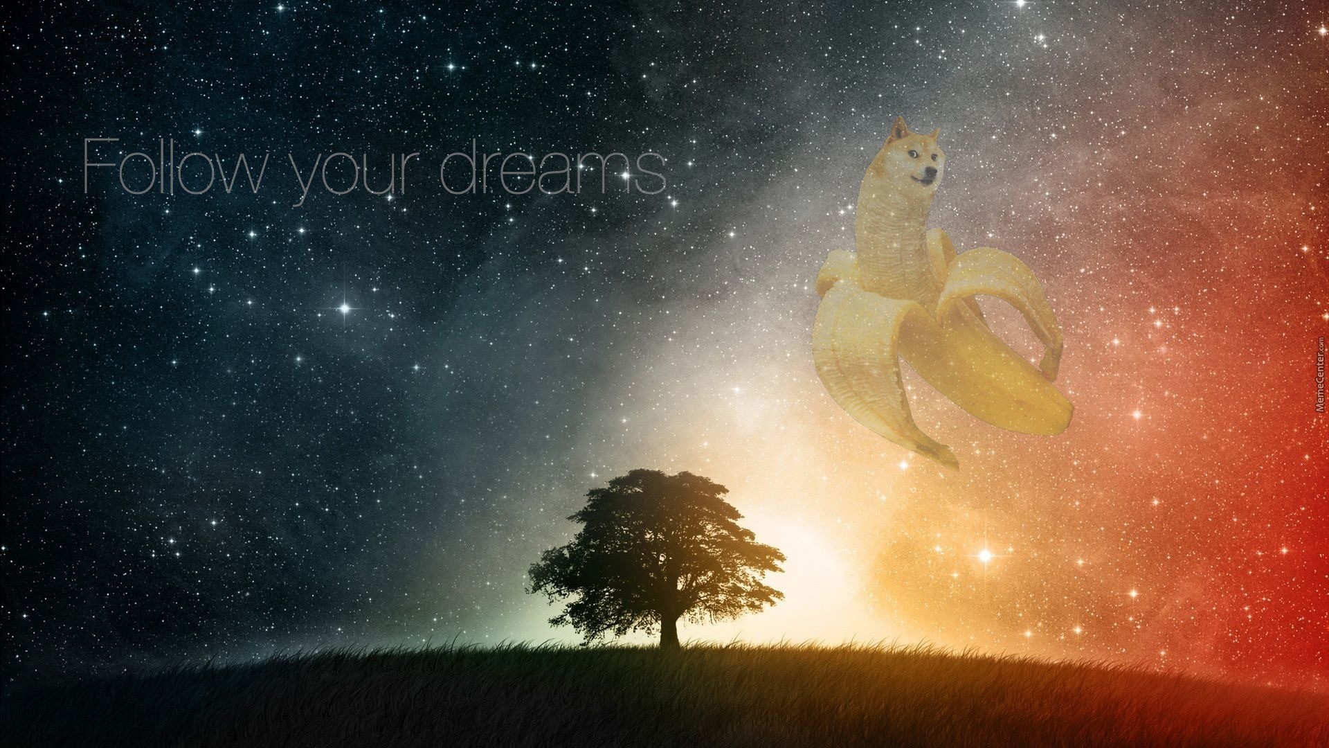 Doge, Follow your dreams, Banana, Albero, Spazio, Full HD, sfondo per PC