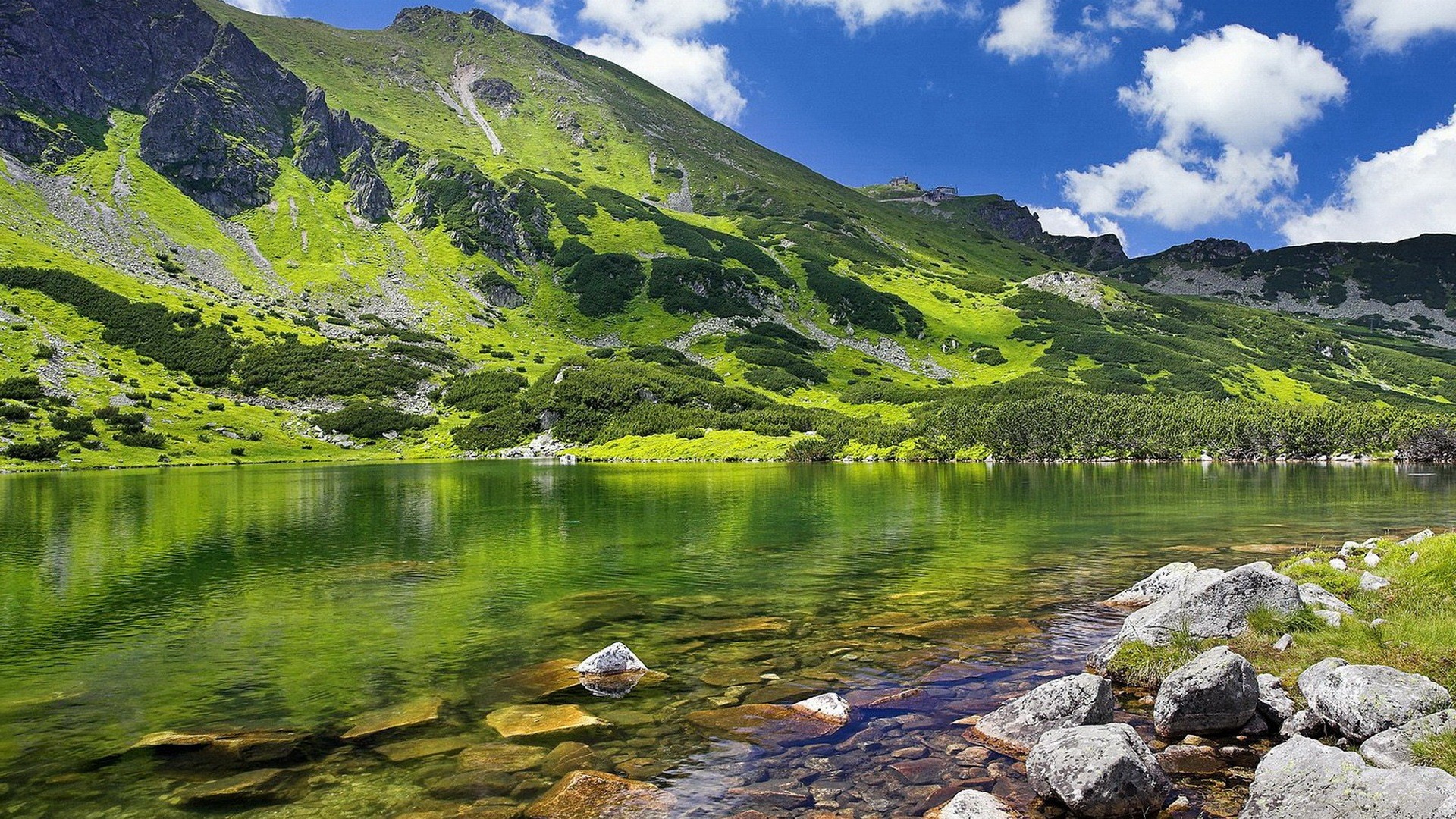 Monti Tatra, Lago, Montagne, Prato, Full HD, wallpaper PC